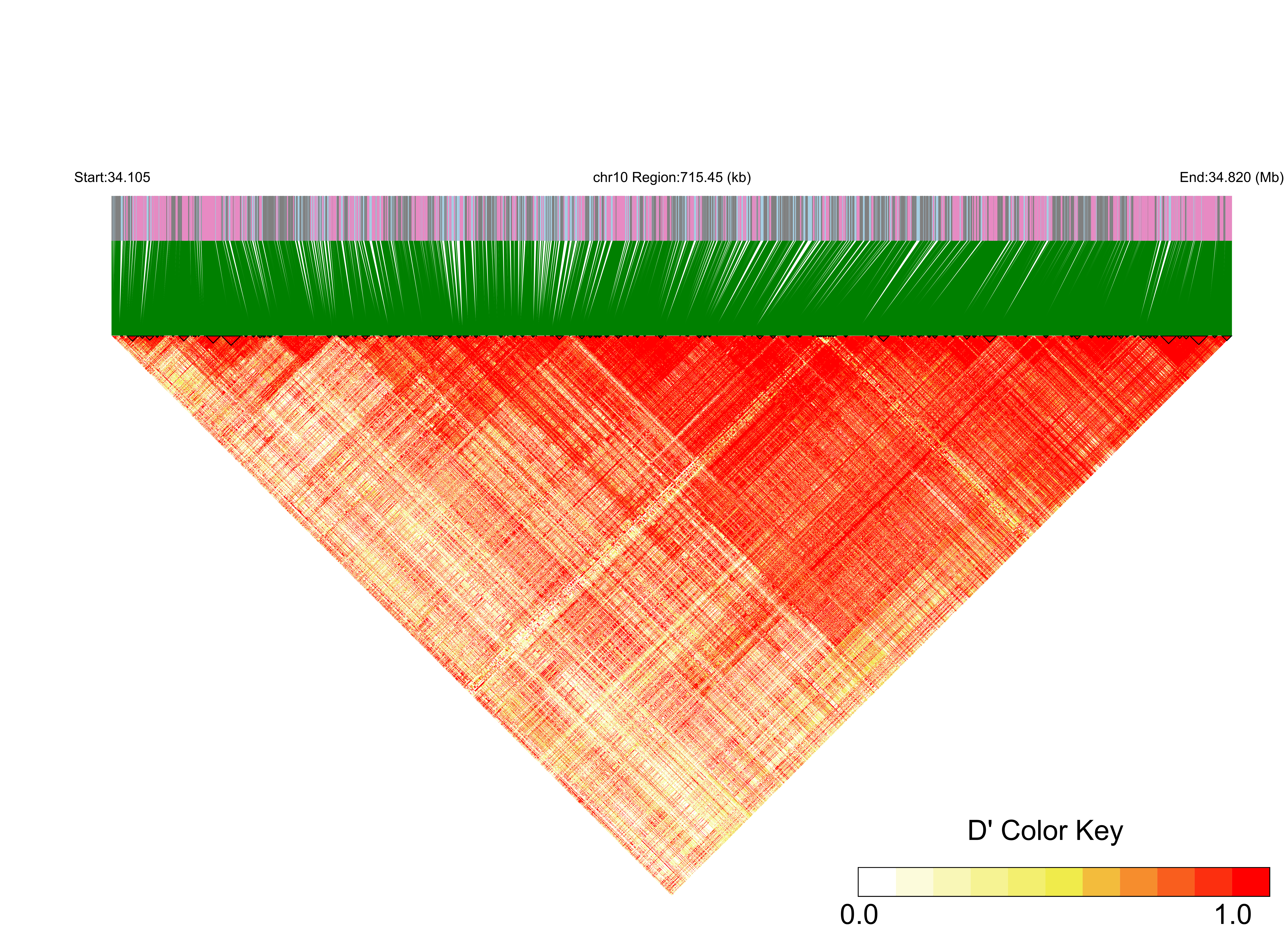 LD