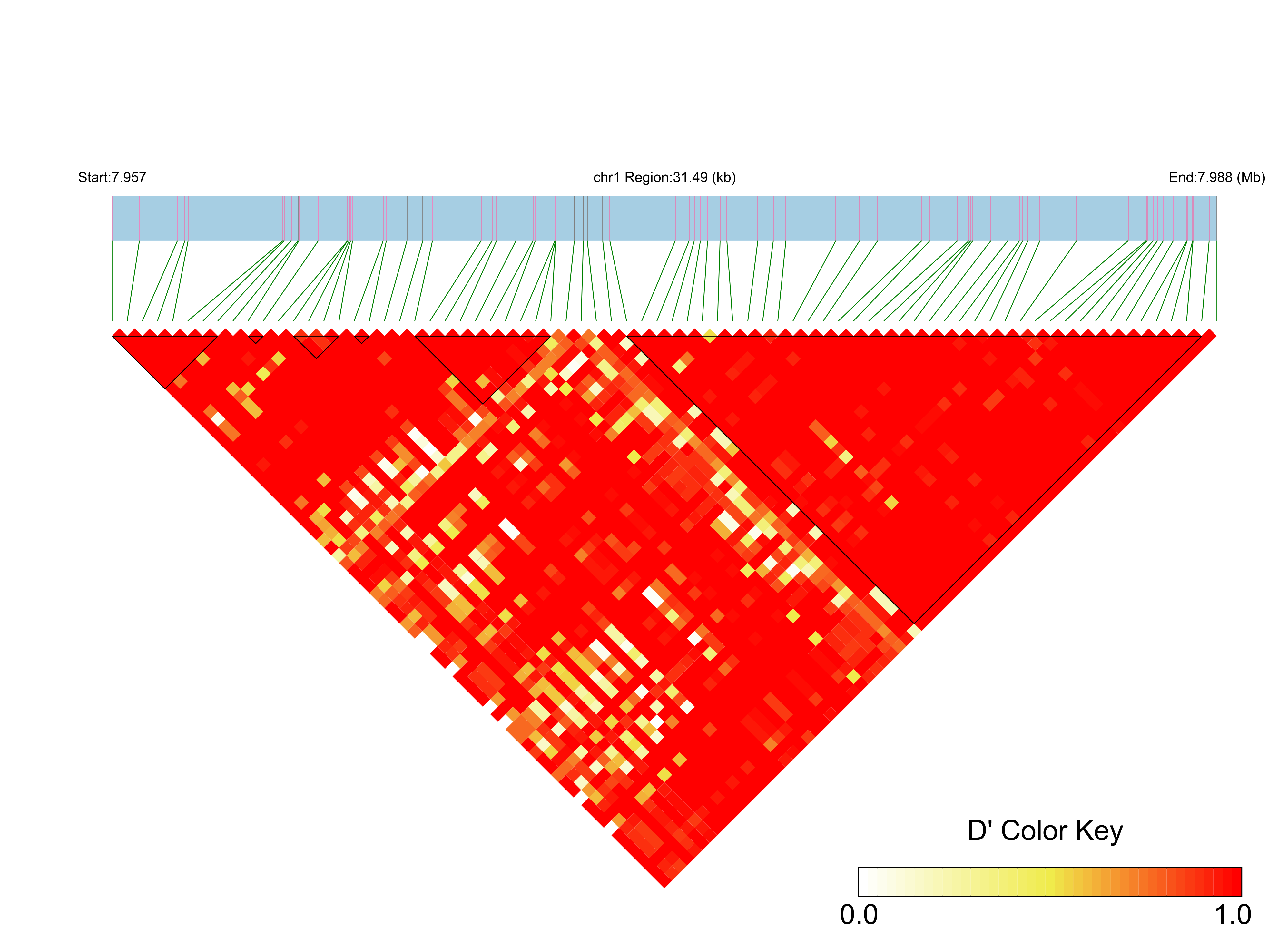 LD