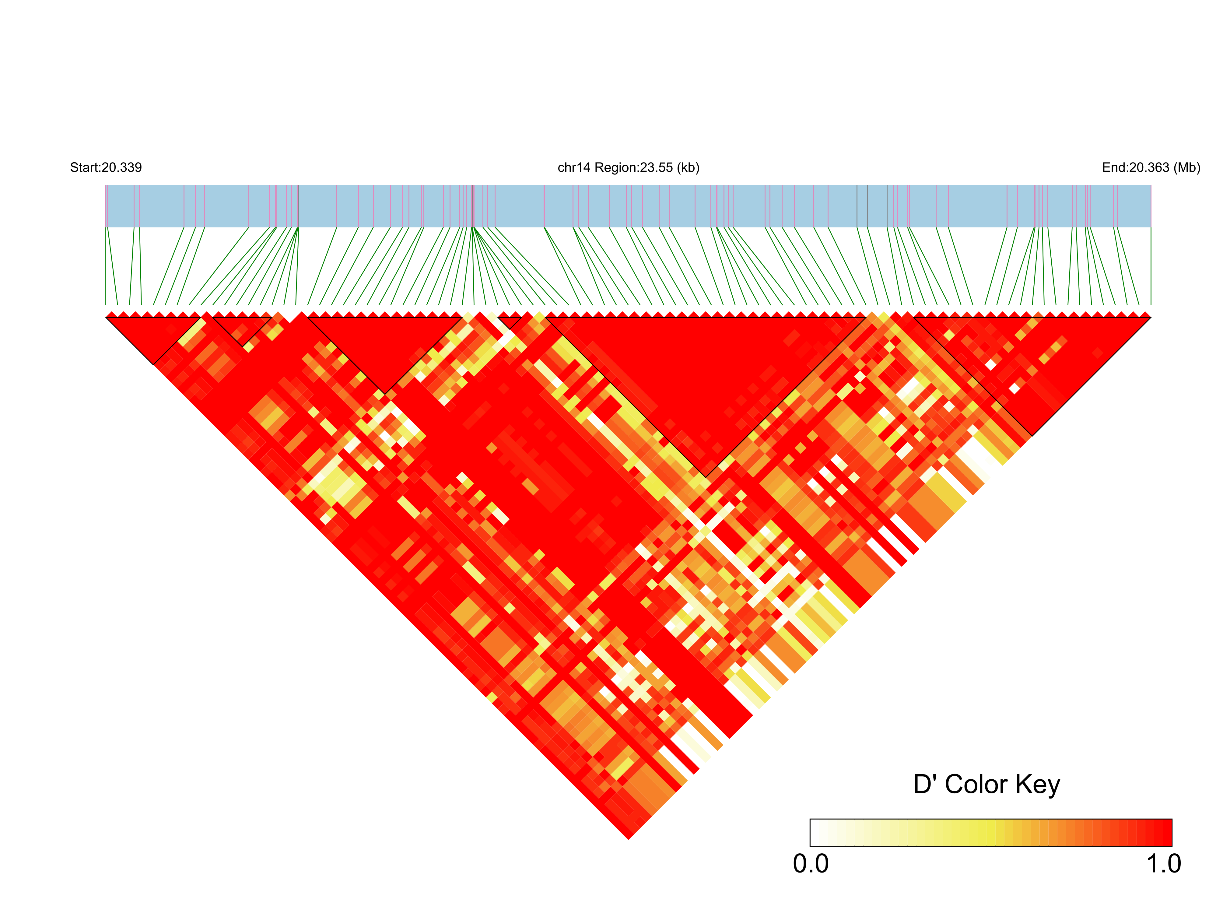 LD