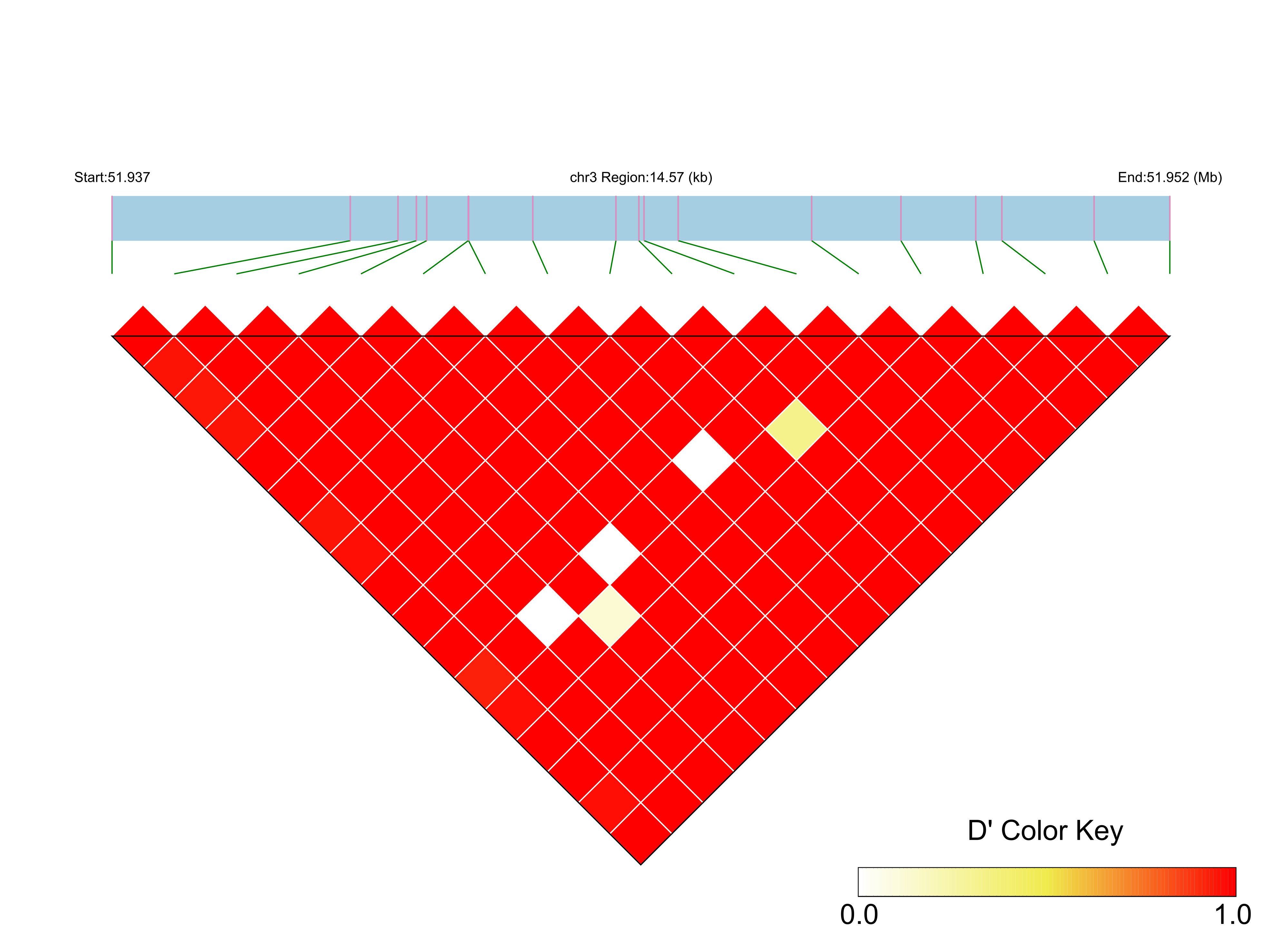 LD