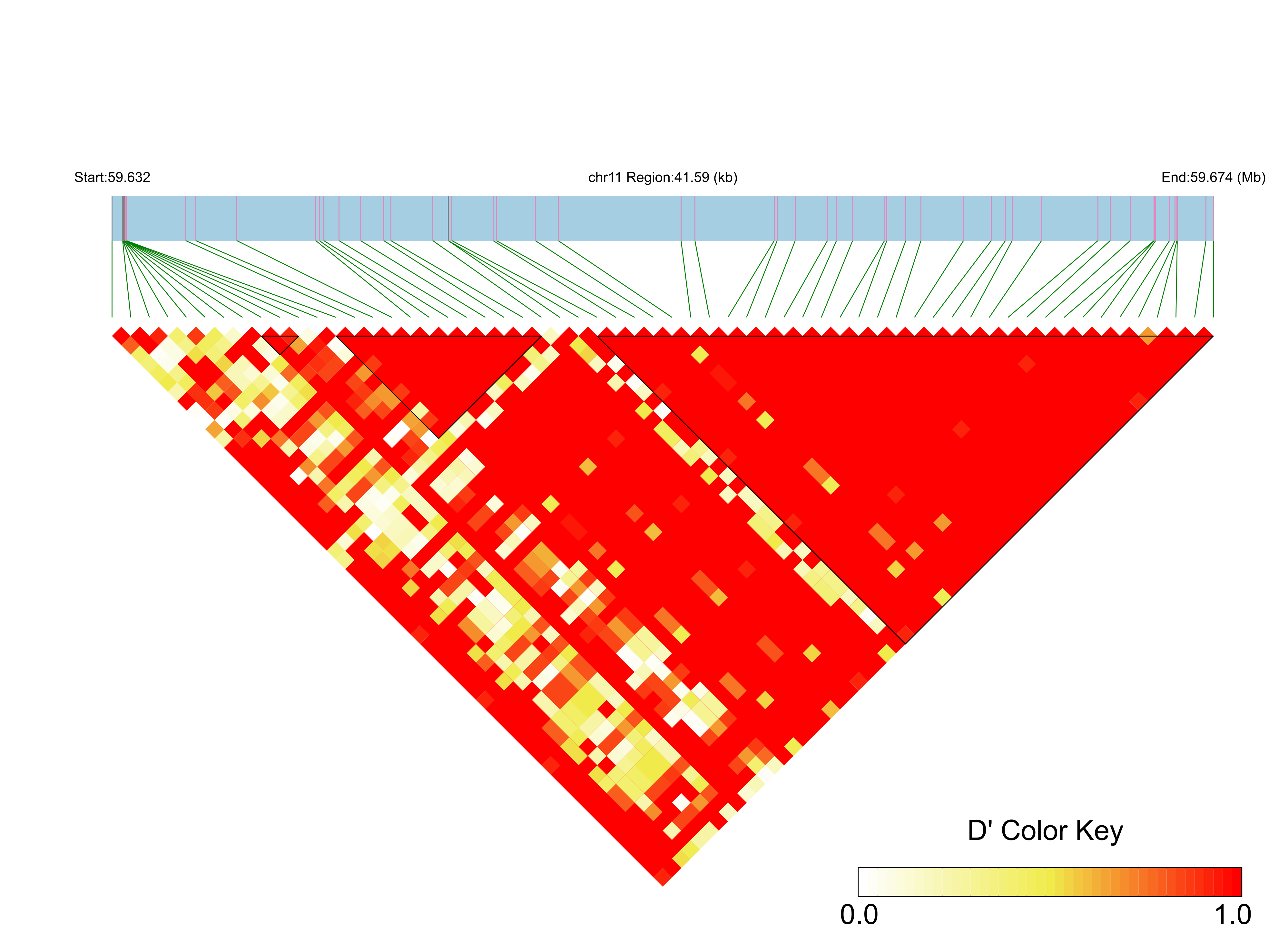 LD