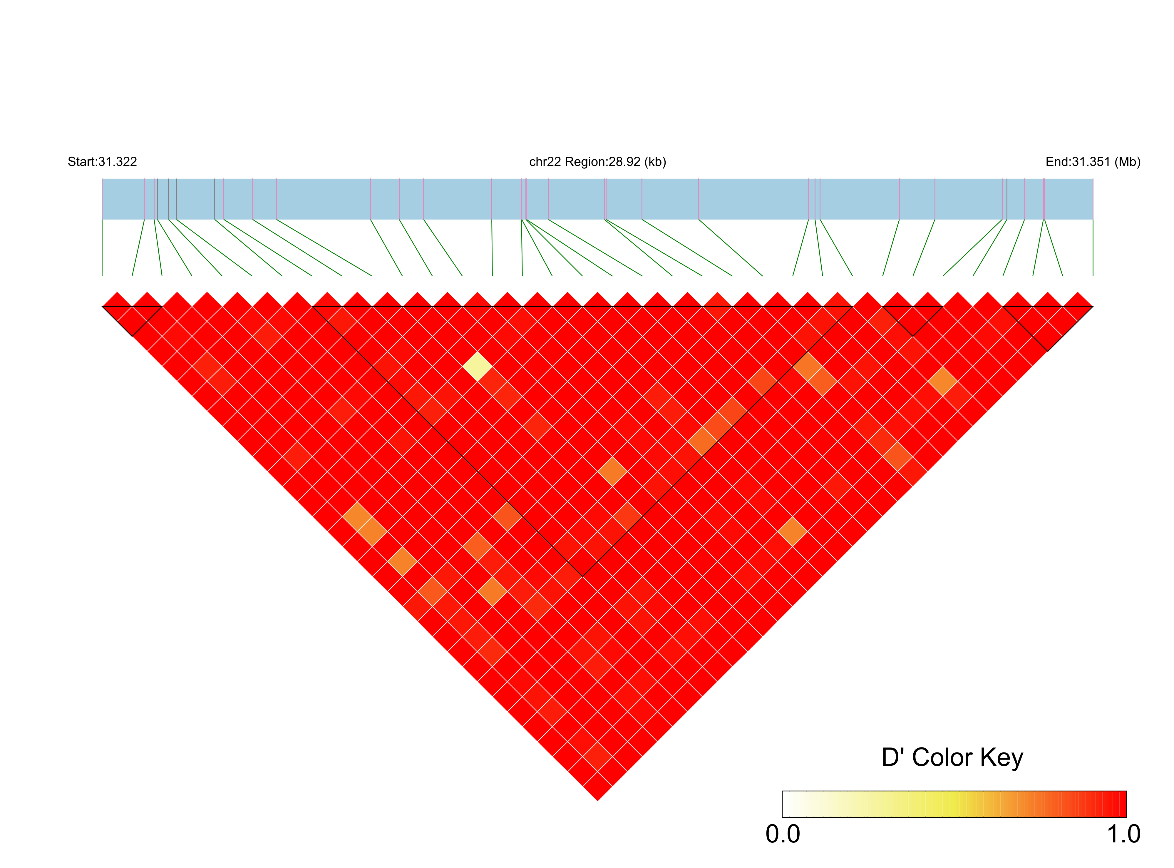 LD