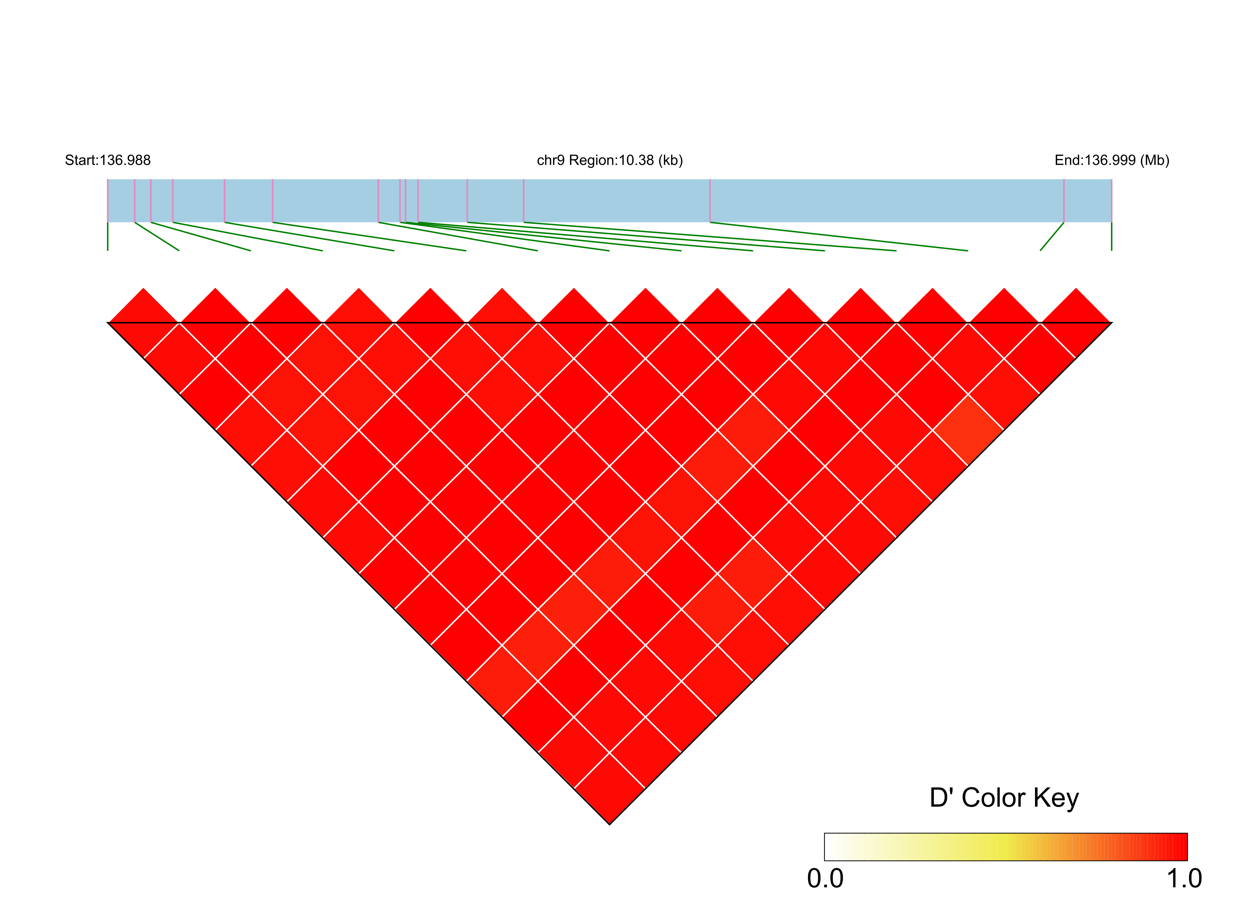 LD