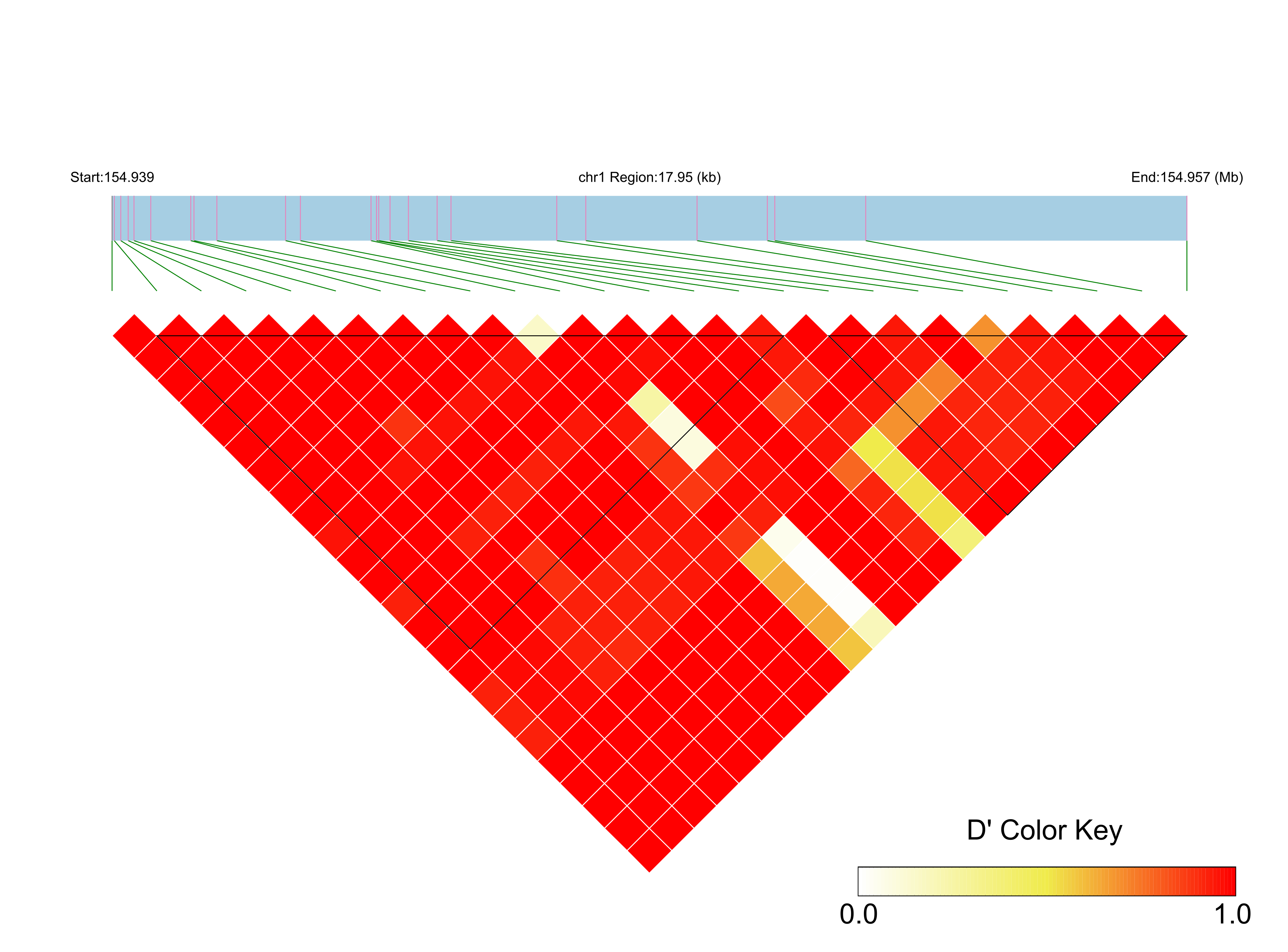 LD