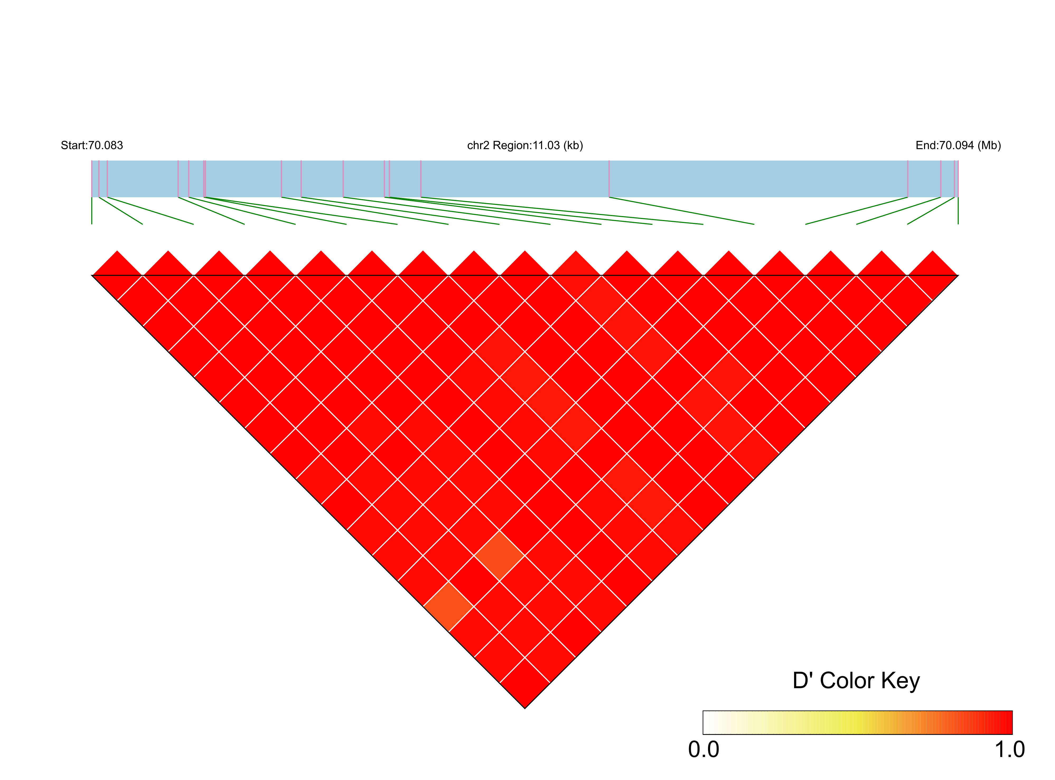 LD
