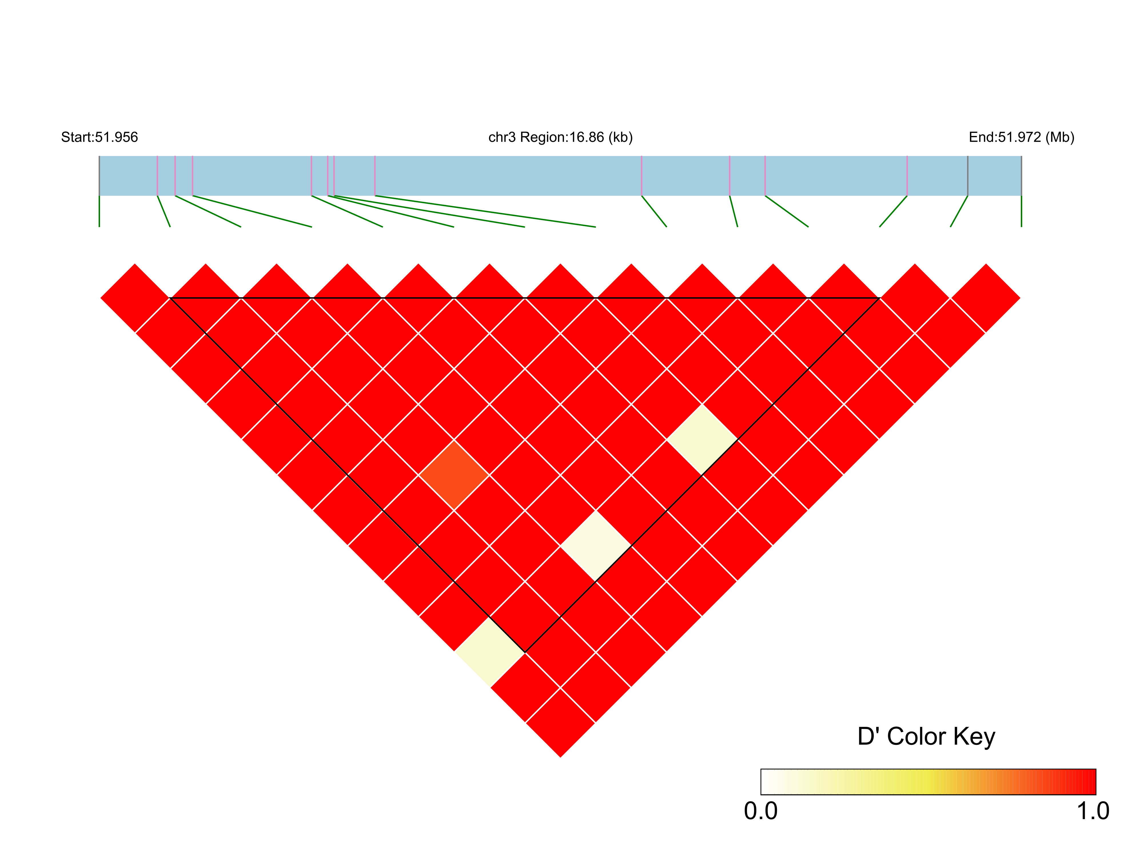 LD