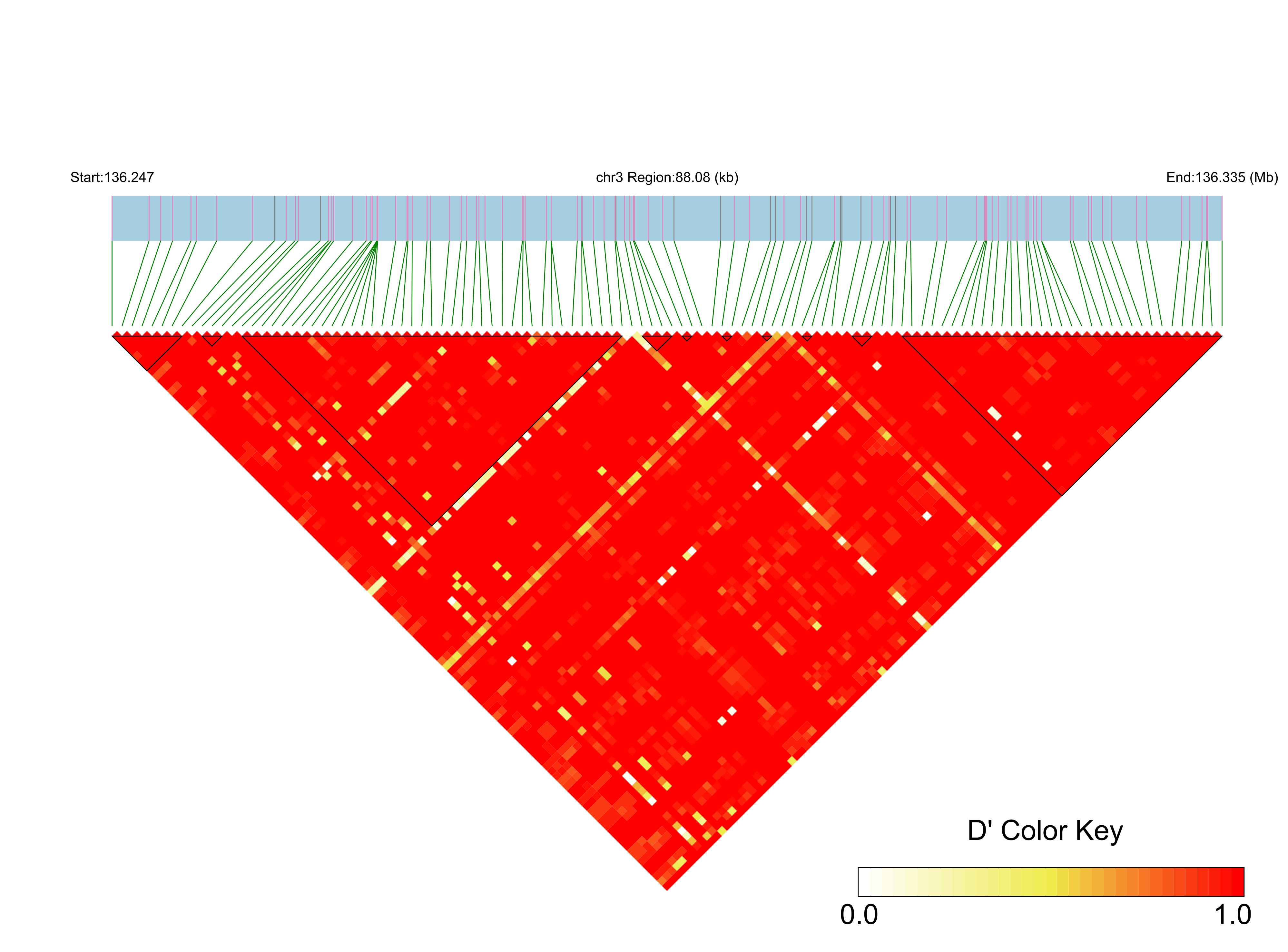 LD