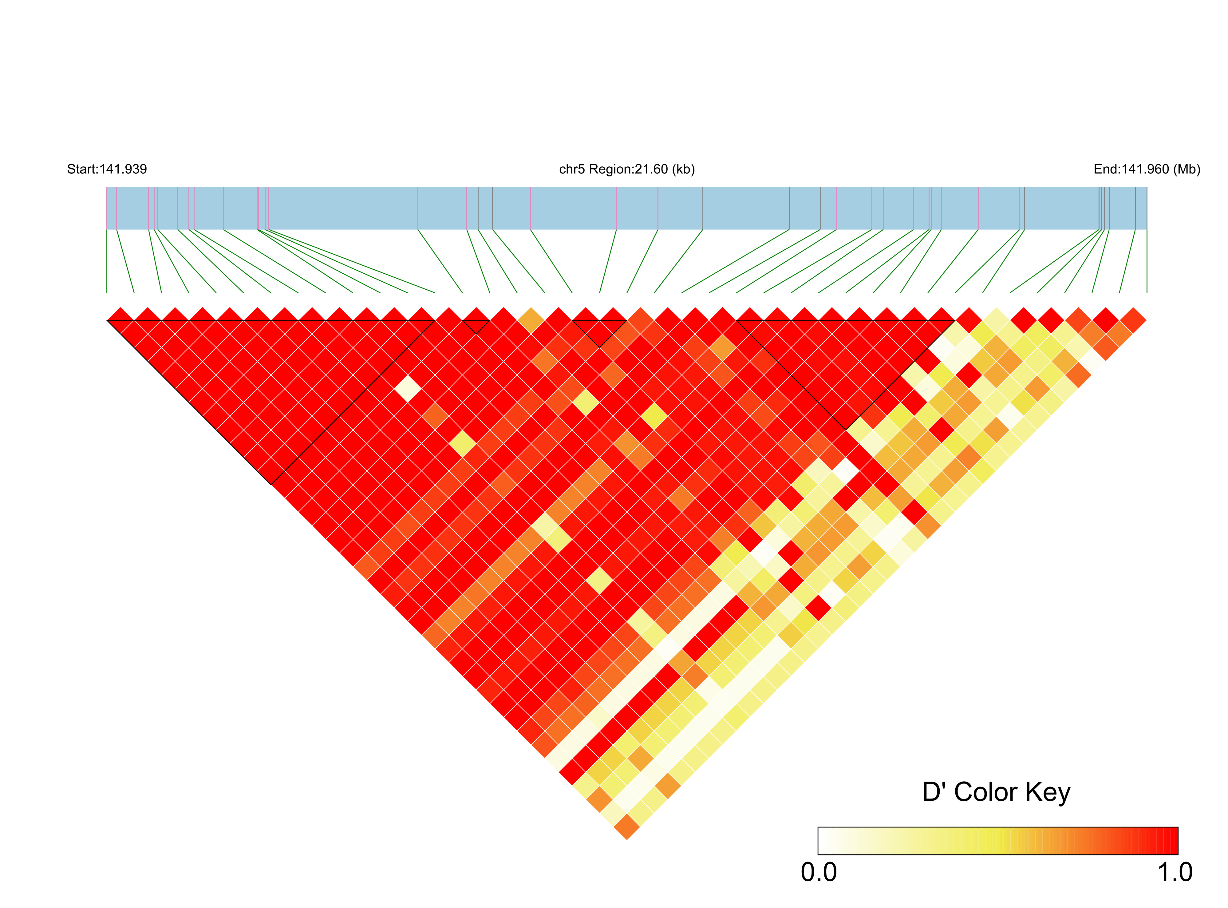 LD