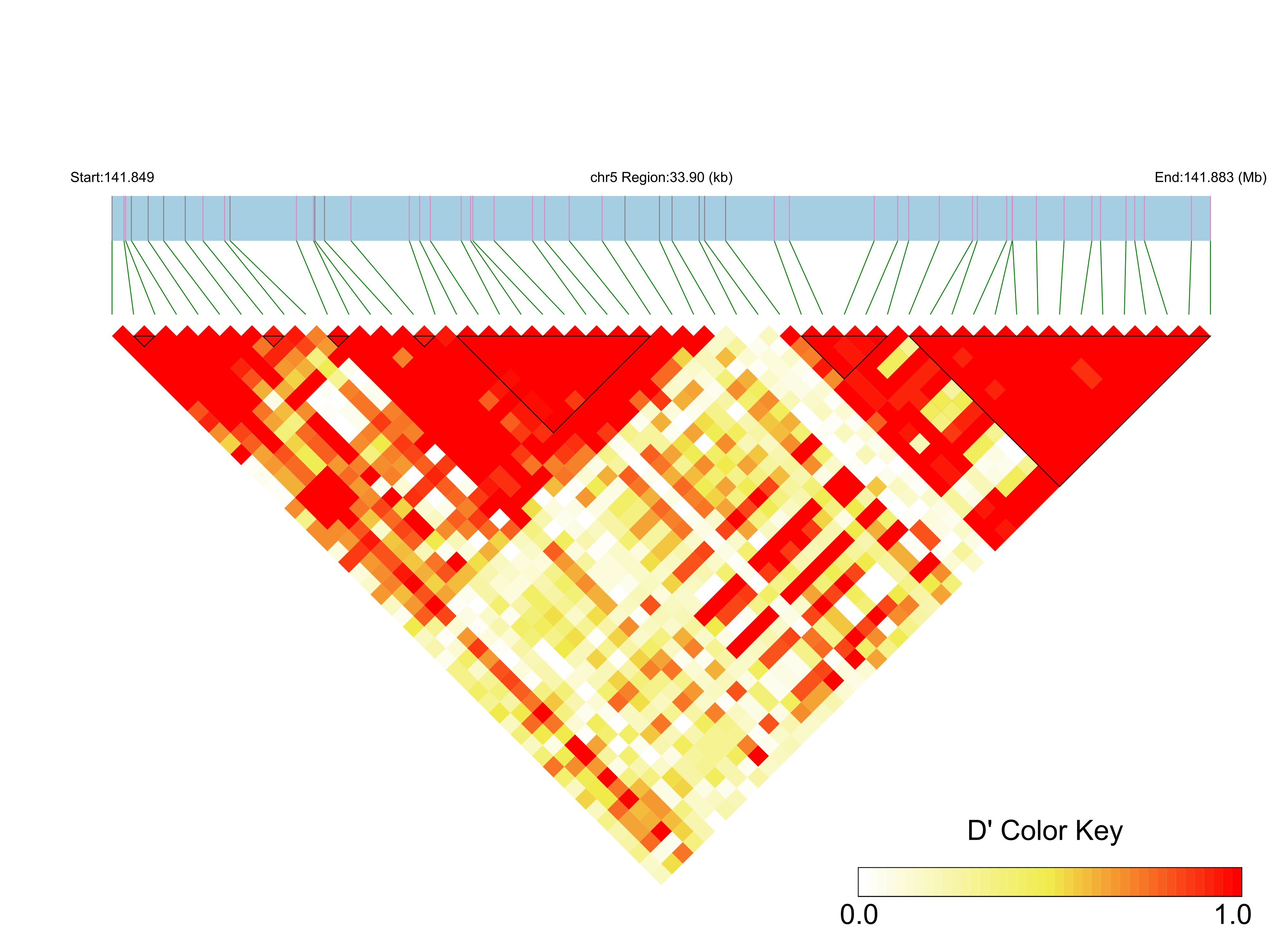 LD