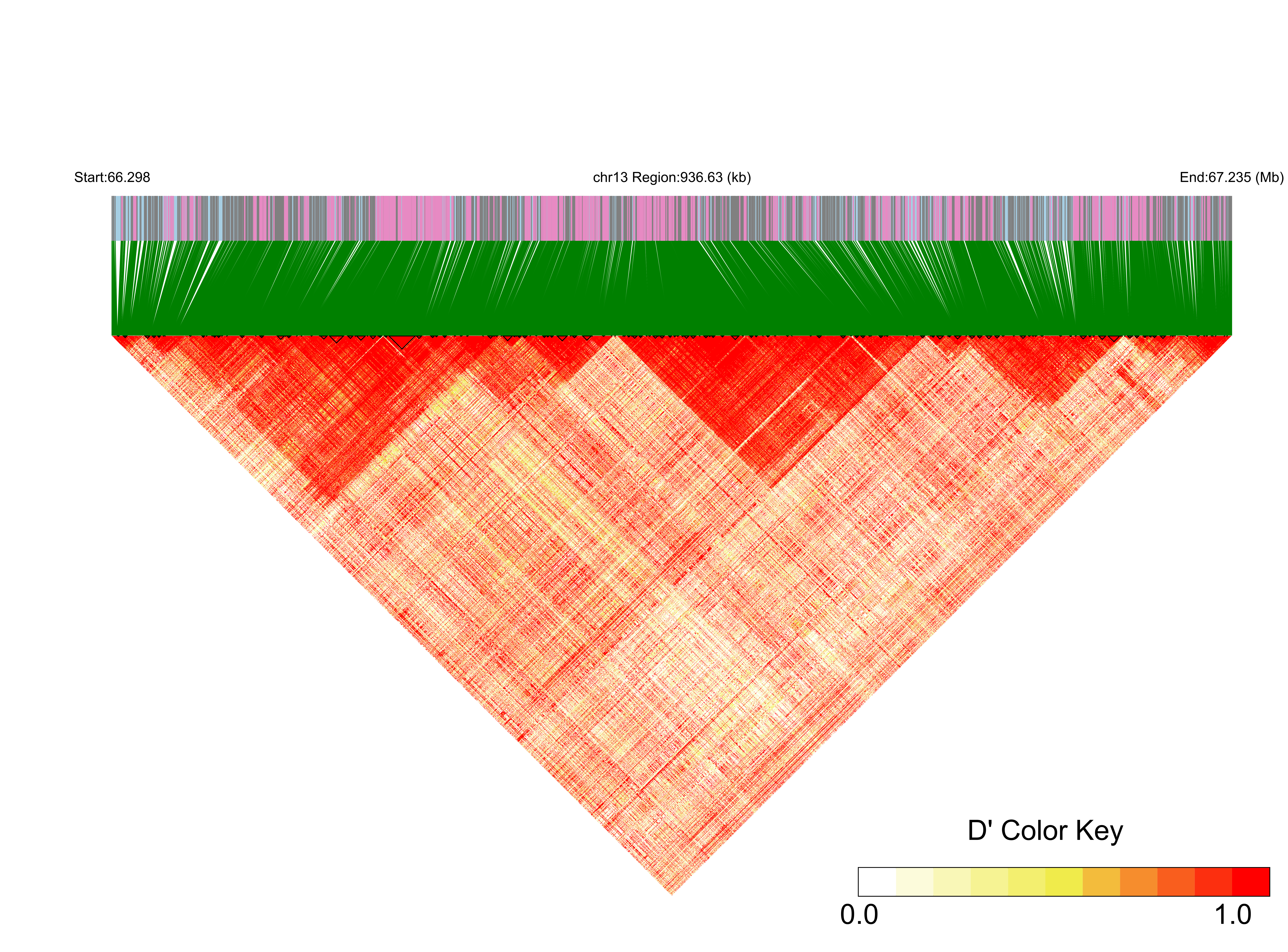 LD