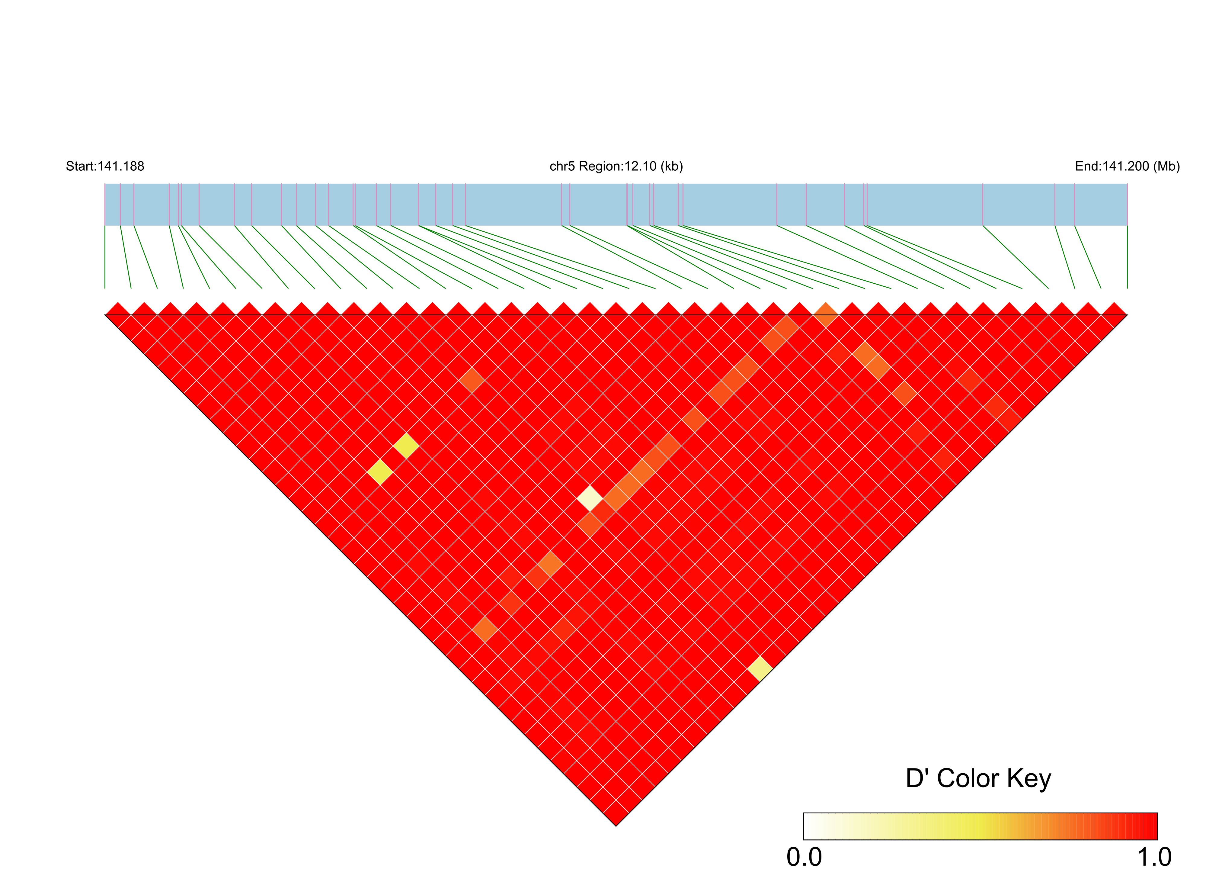 LD