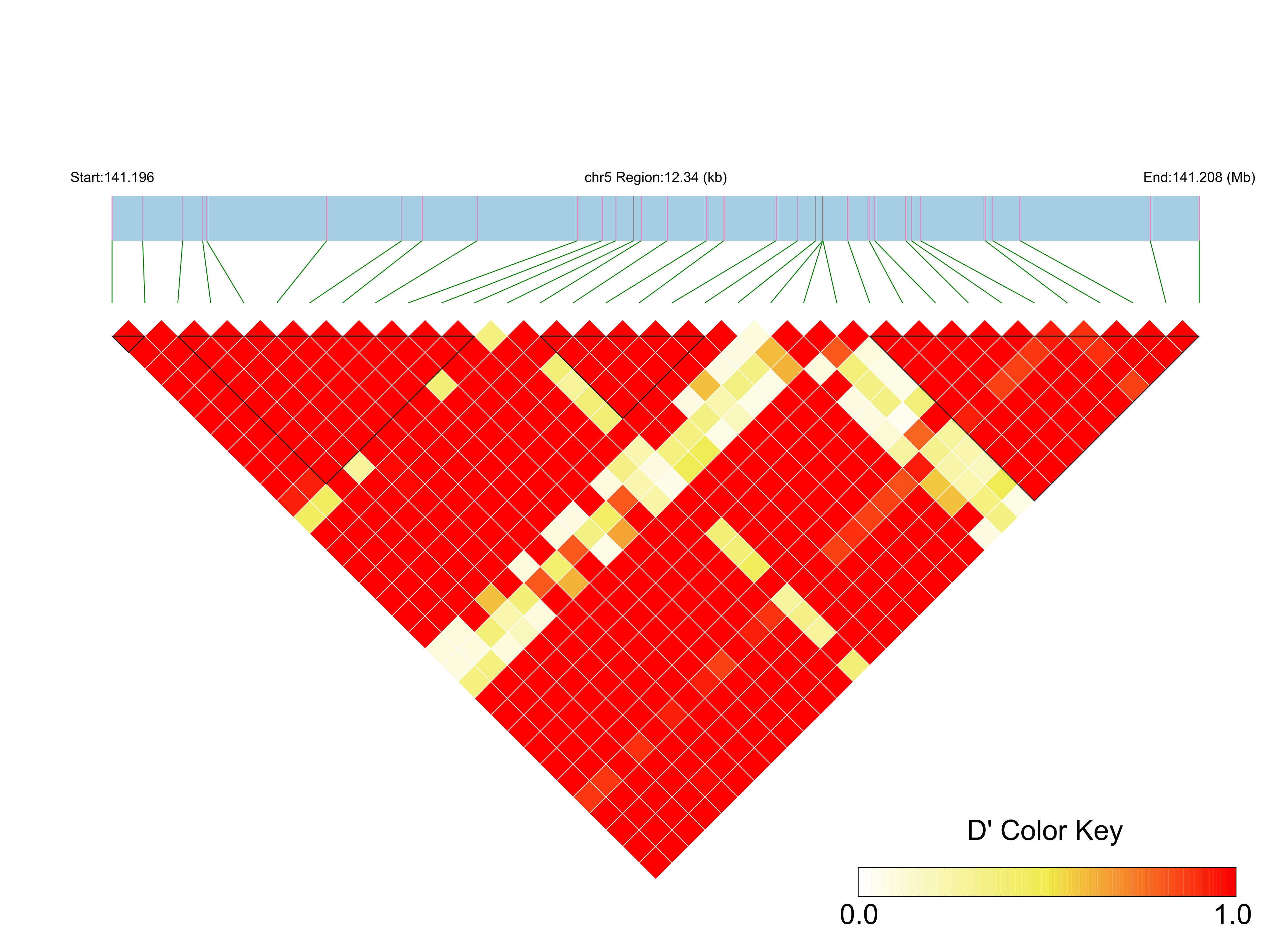 LD