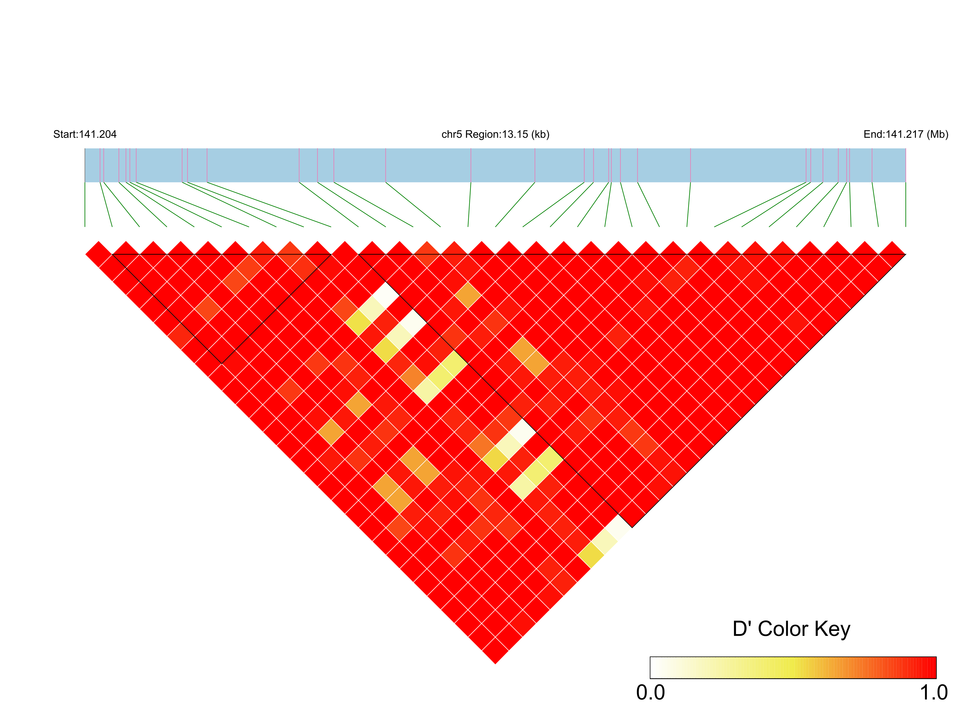 LD