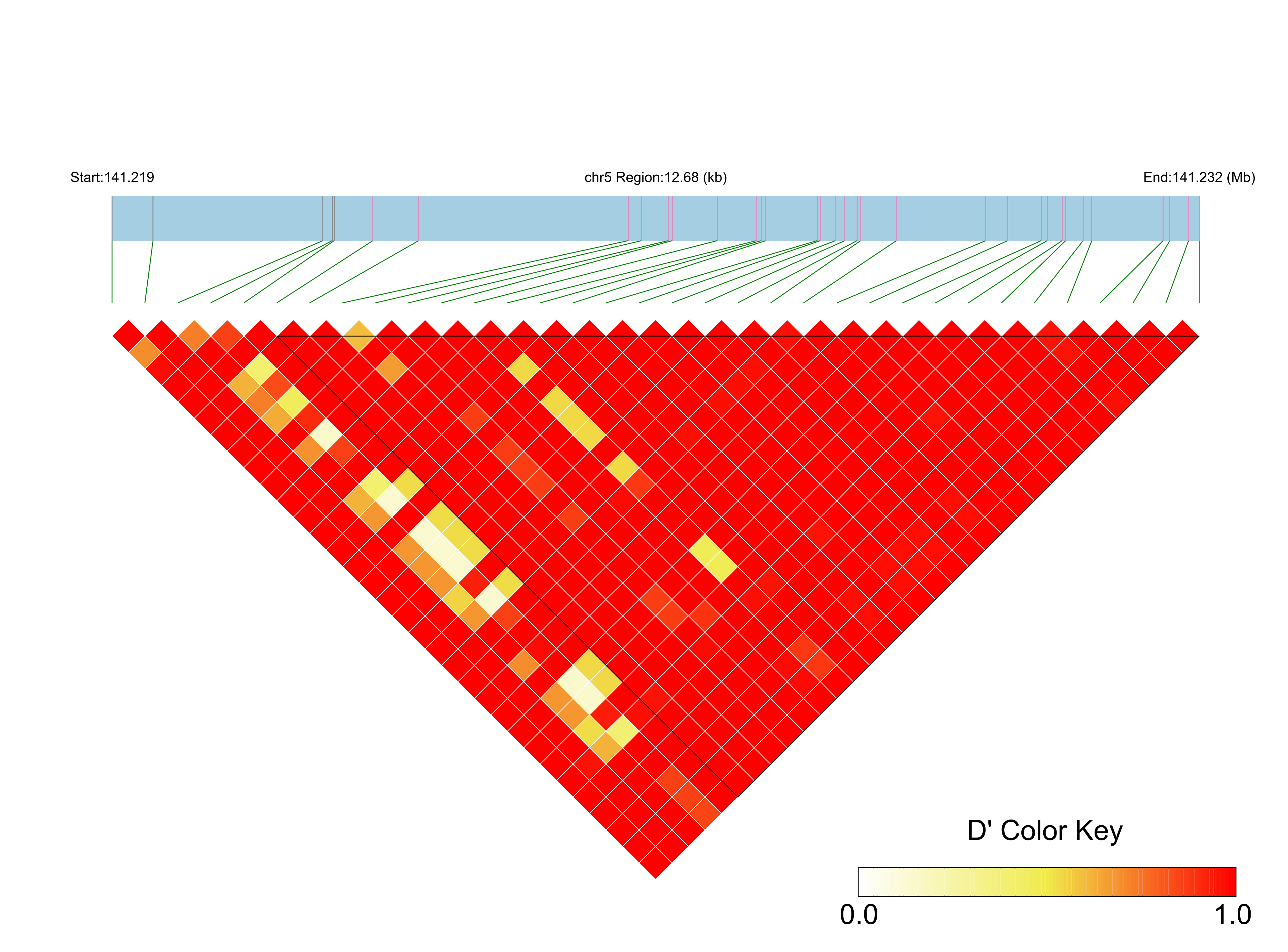 LD