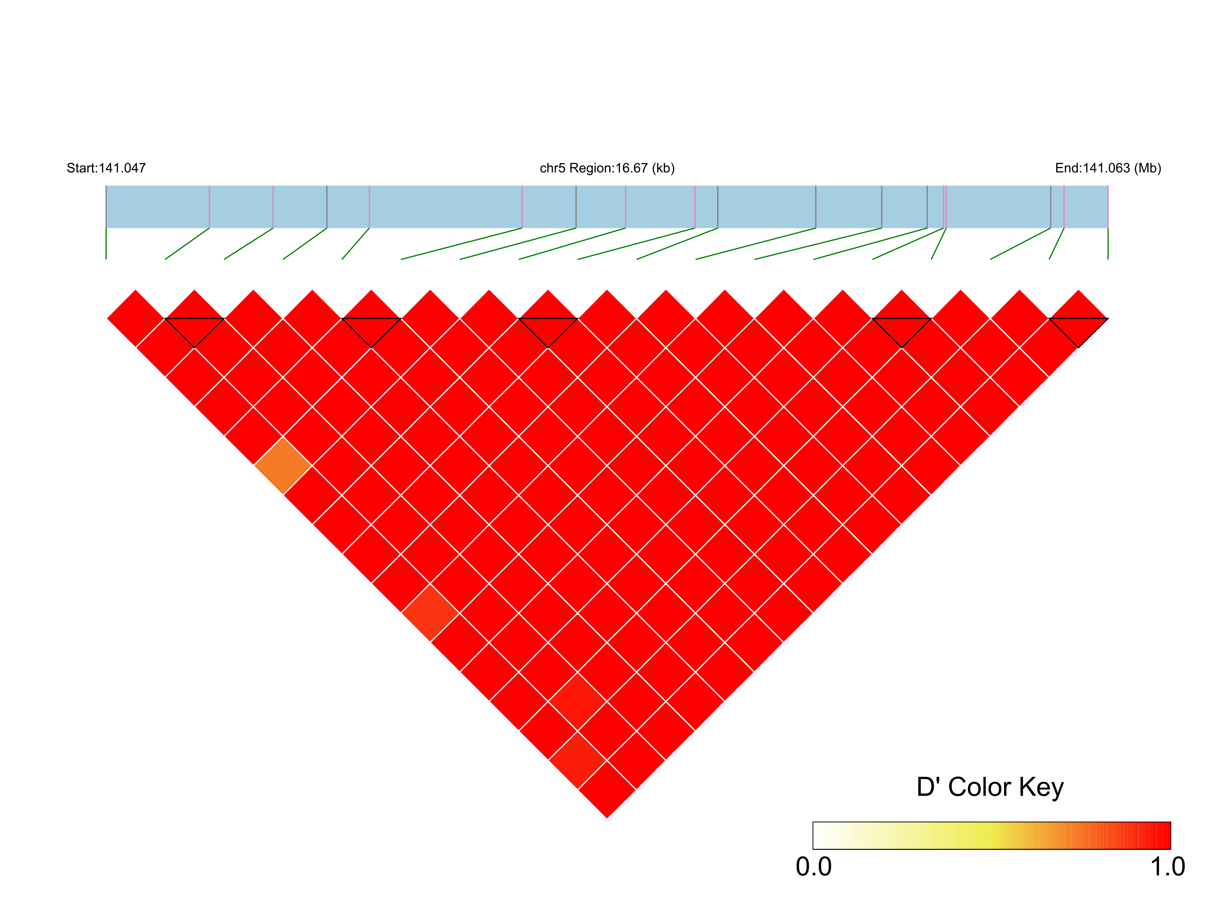 LD