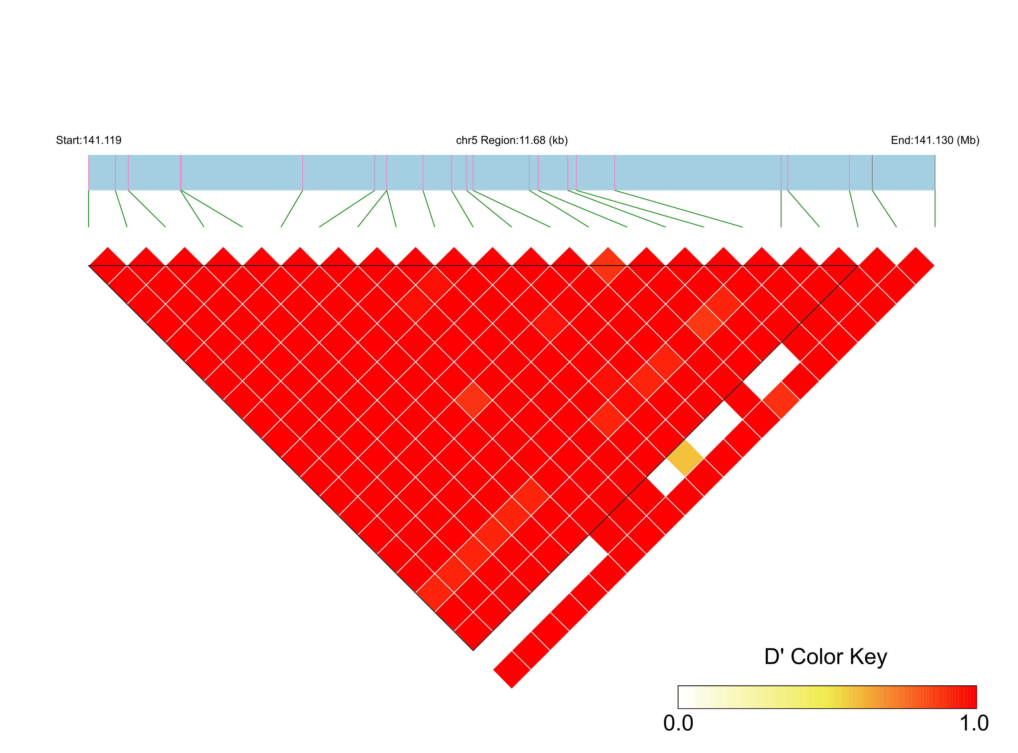 LD