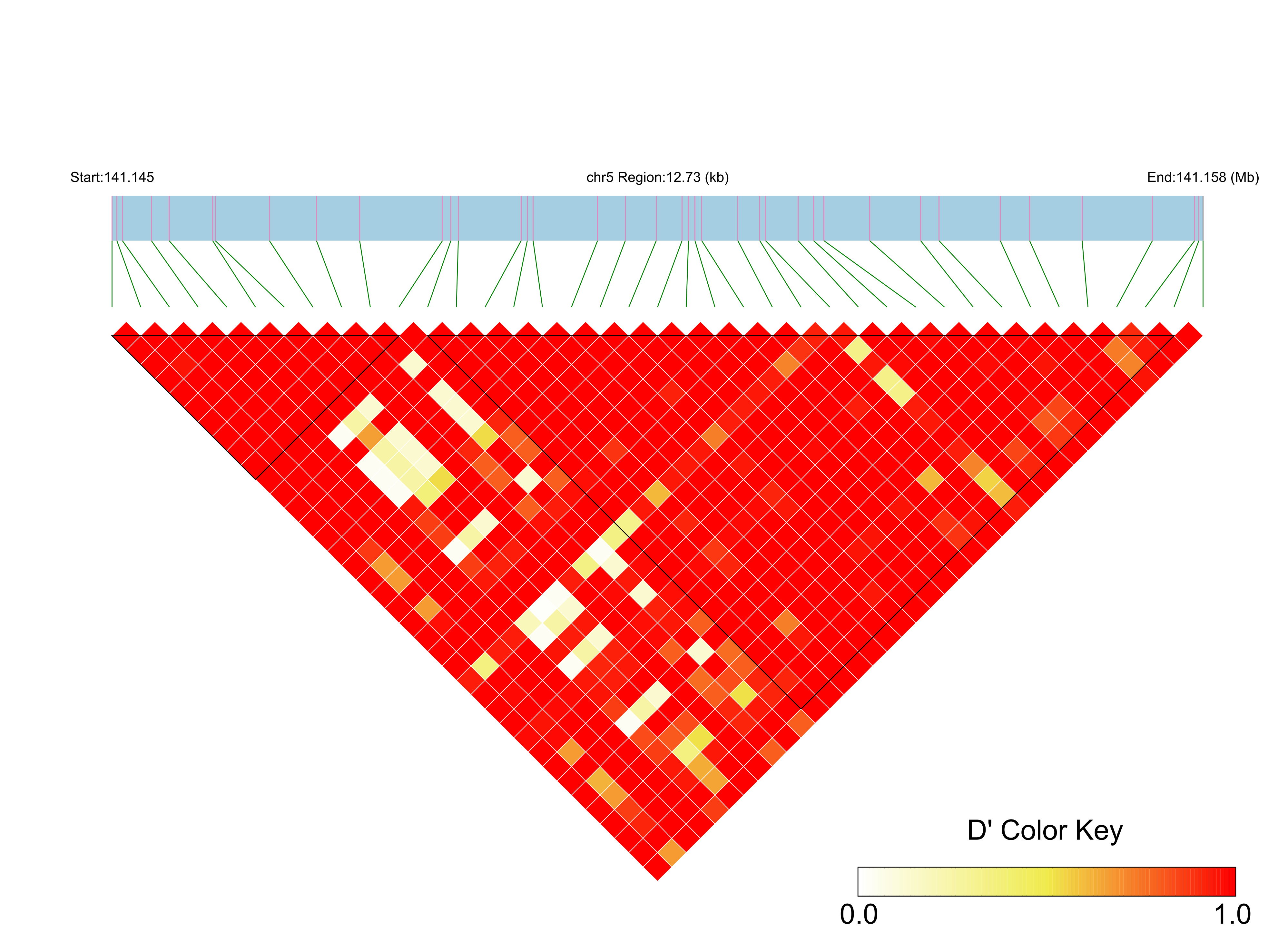 LD