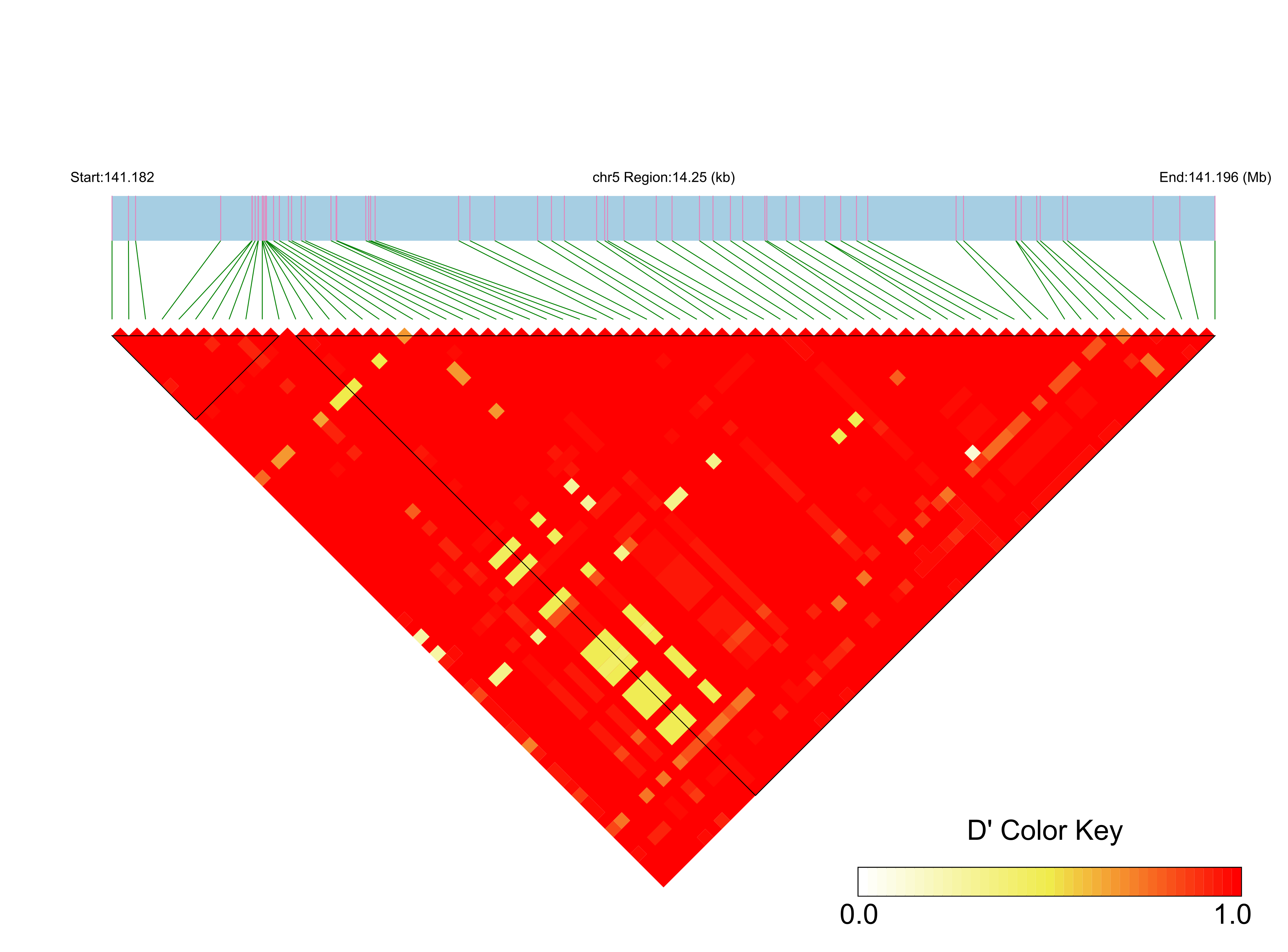 LD