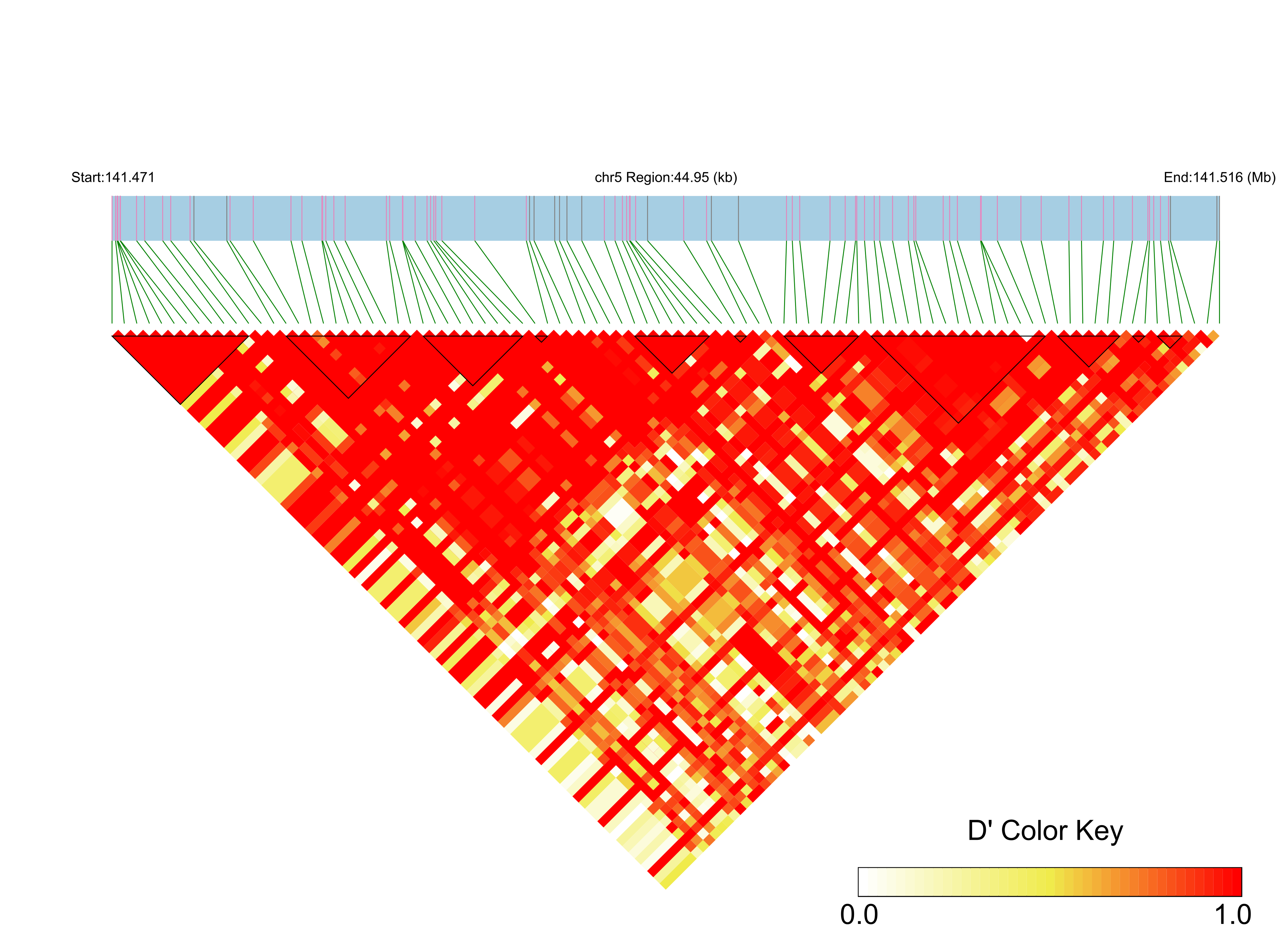 LD
