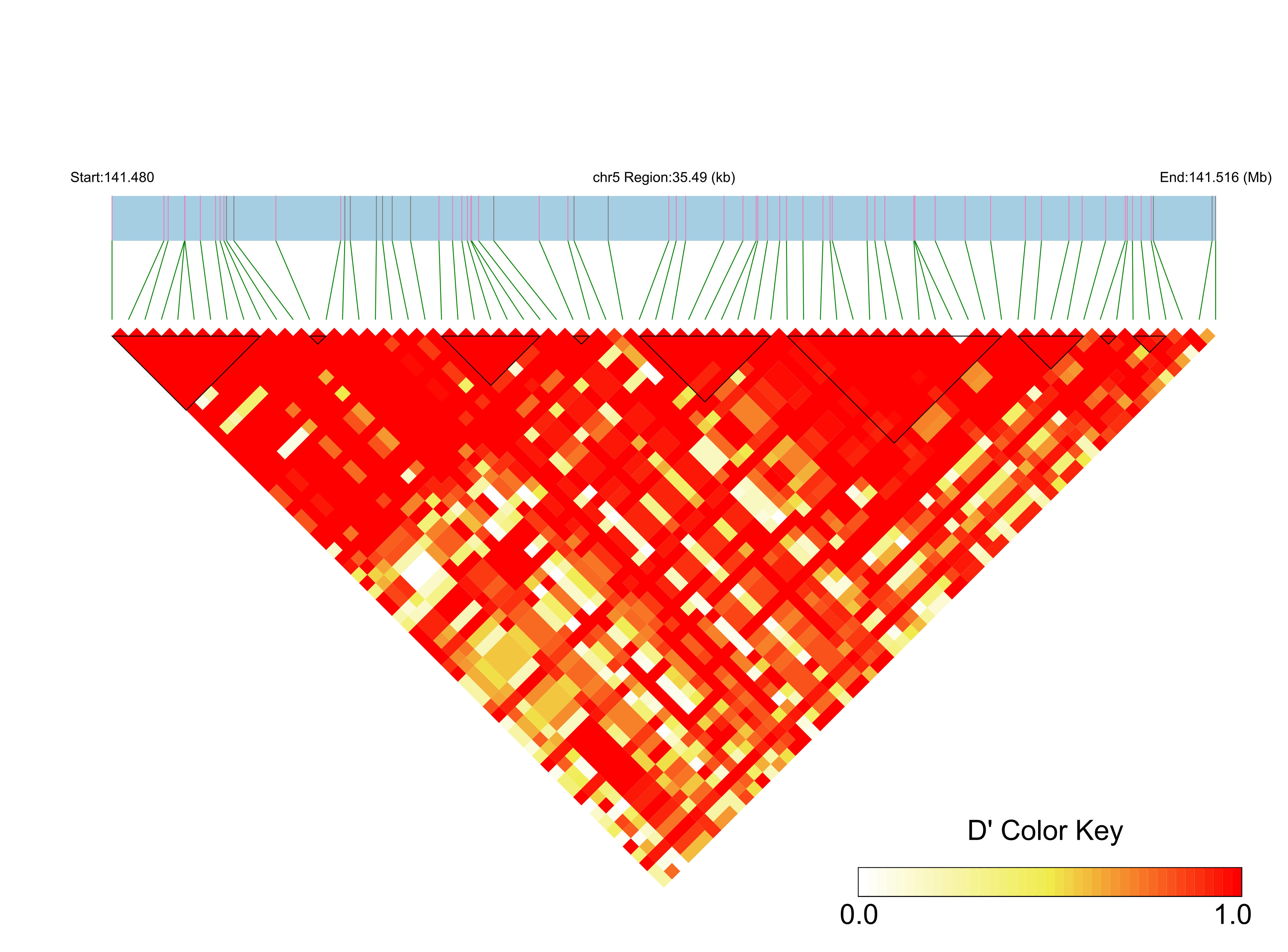 LD