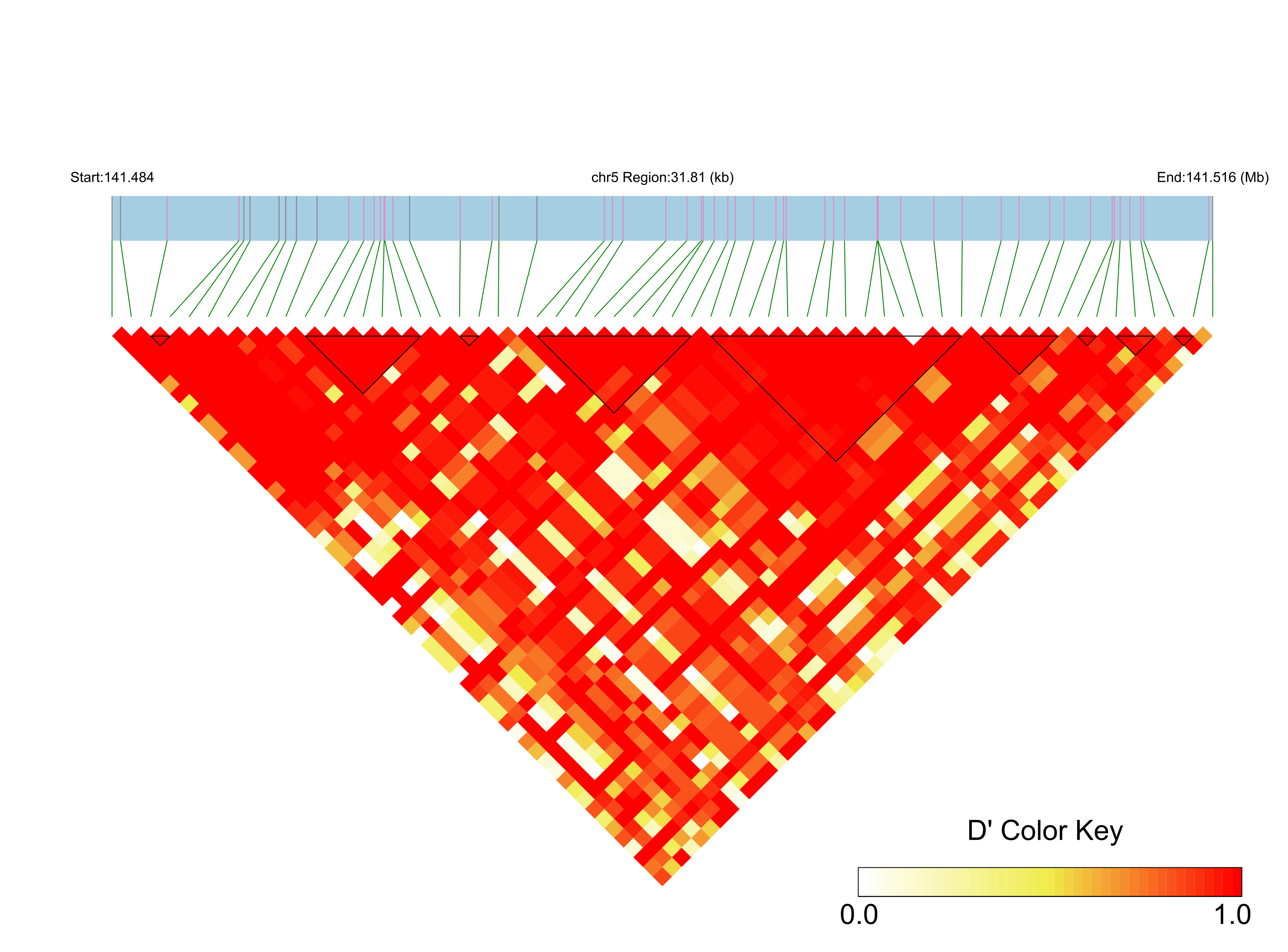 LD