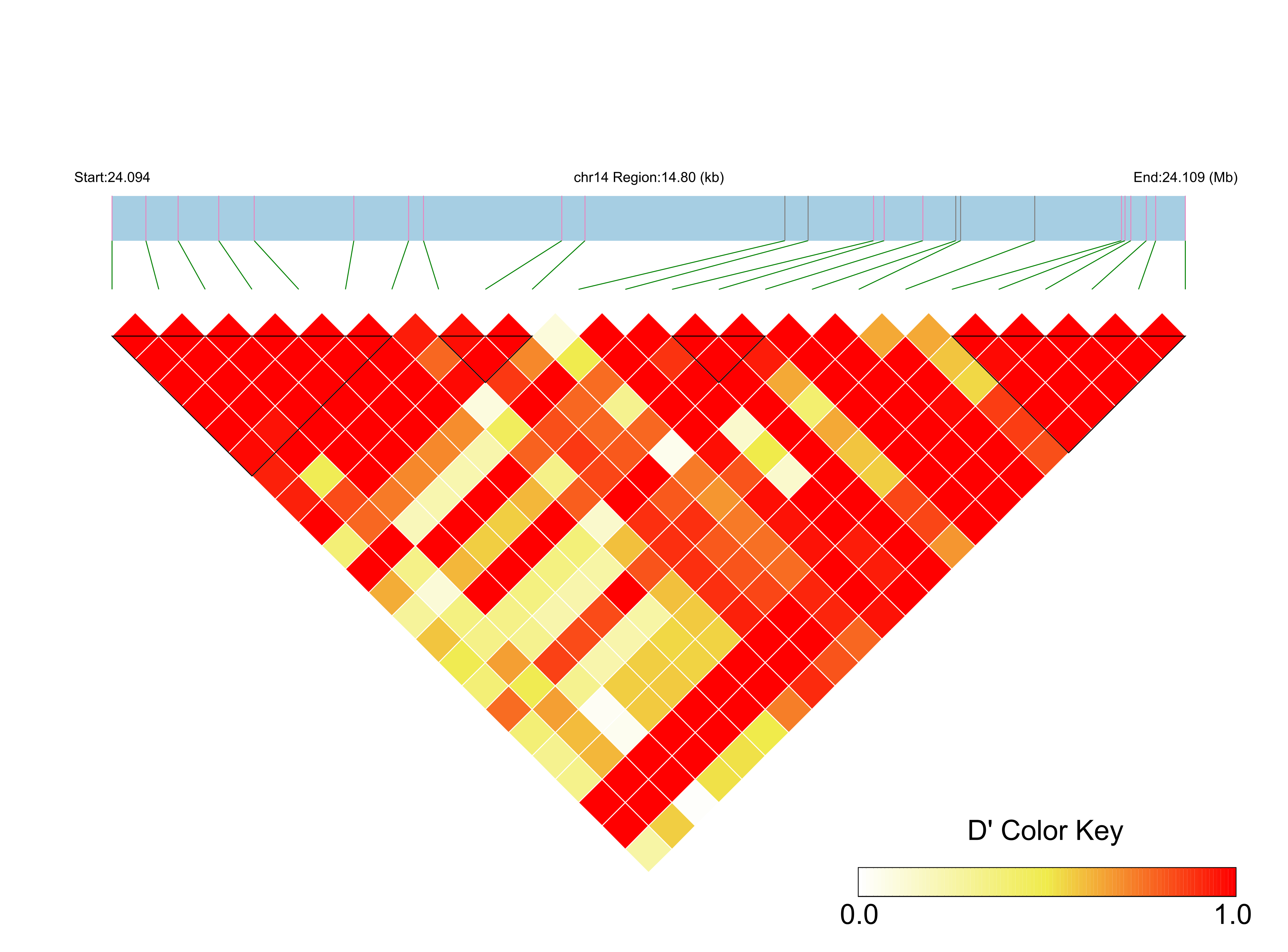 LD