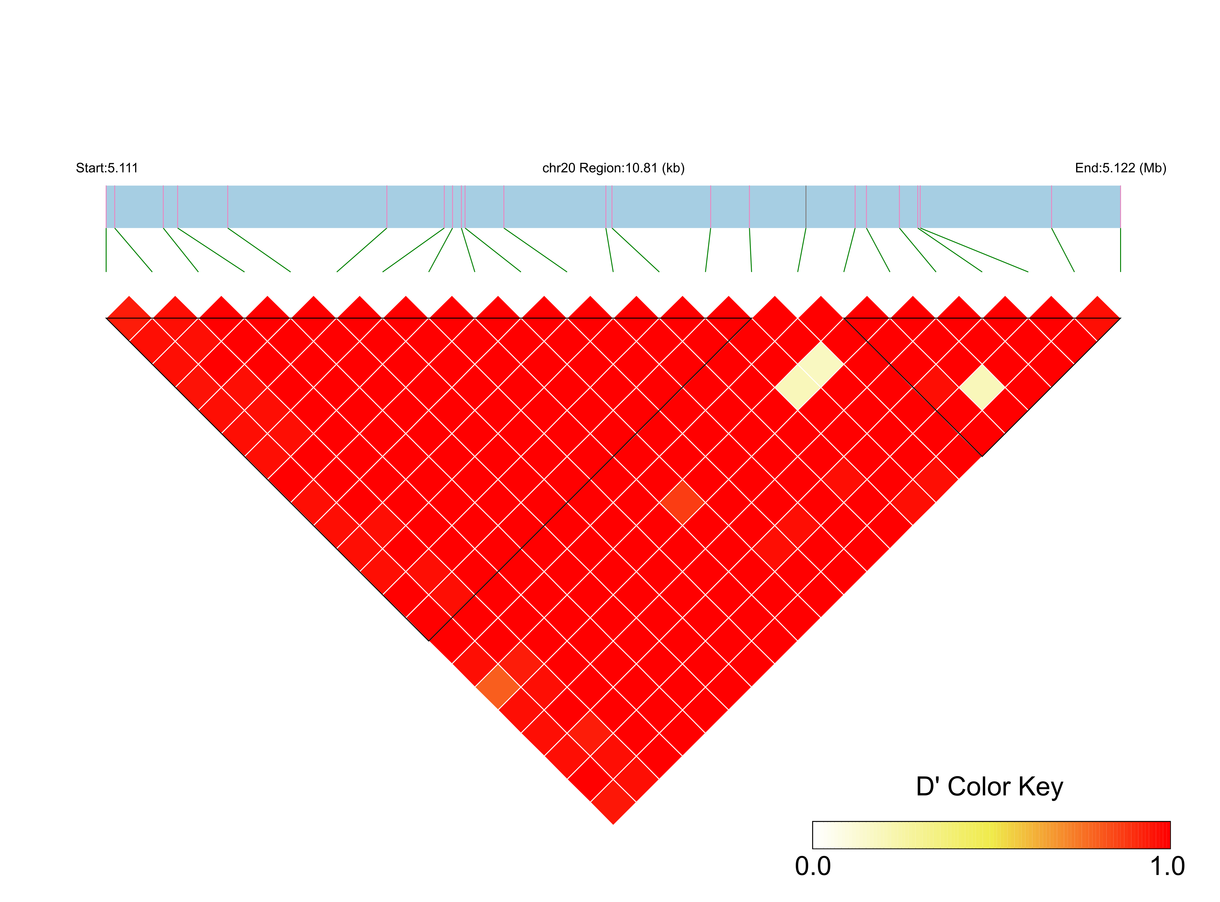 LD