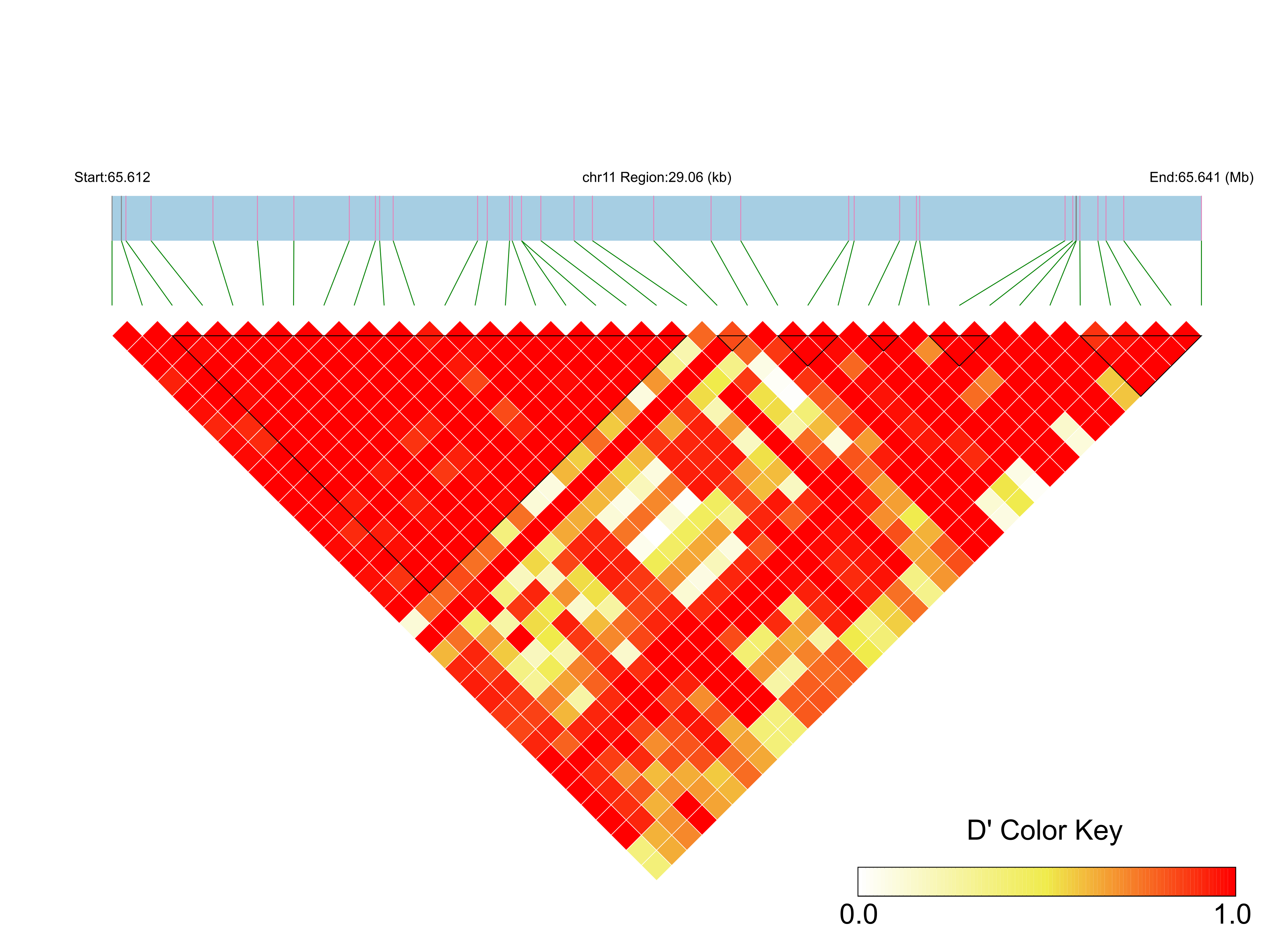 LD