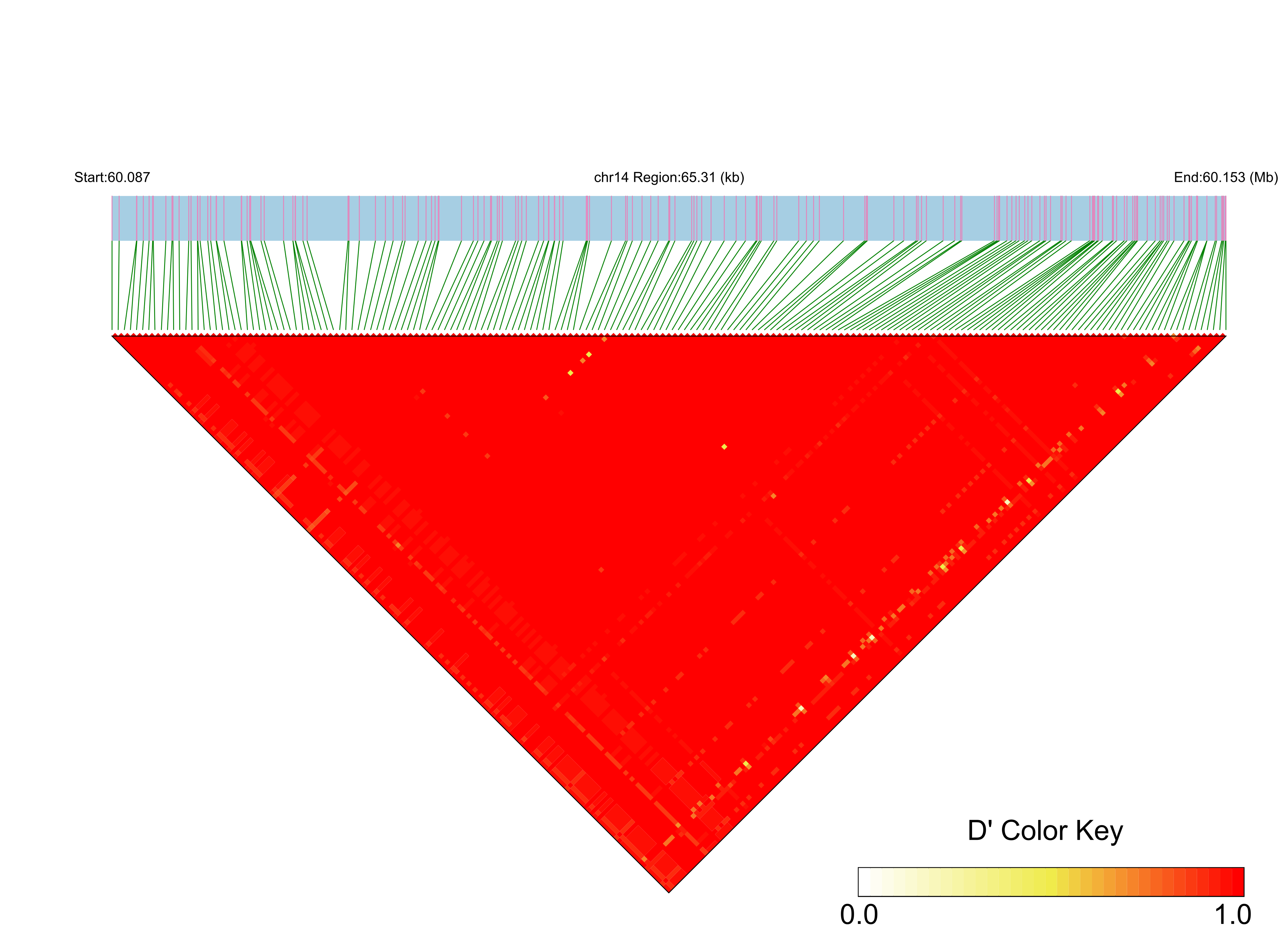 LD