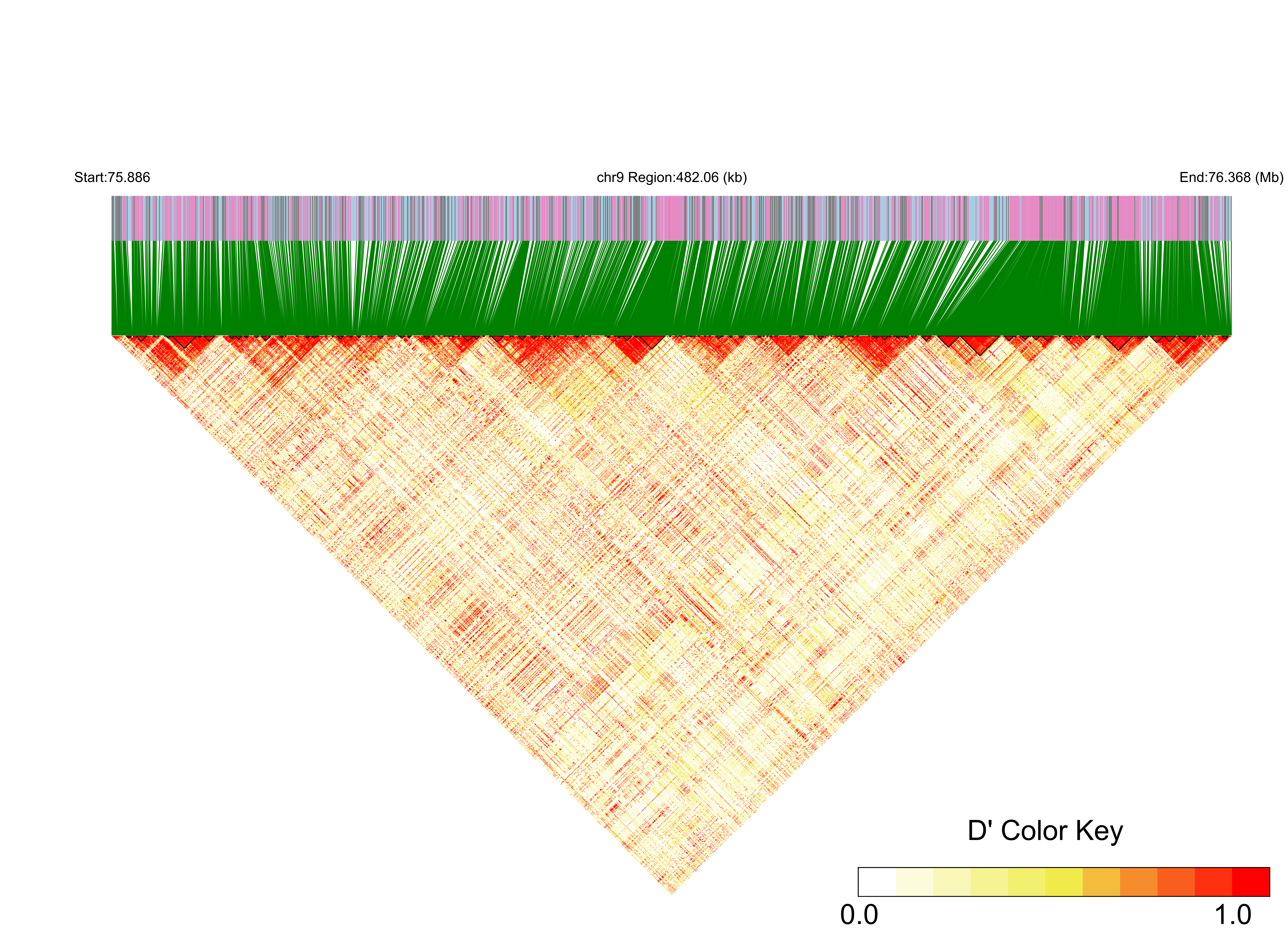 LD