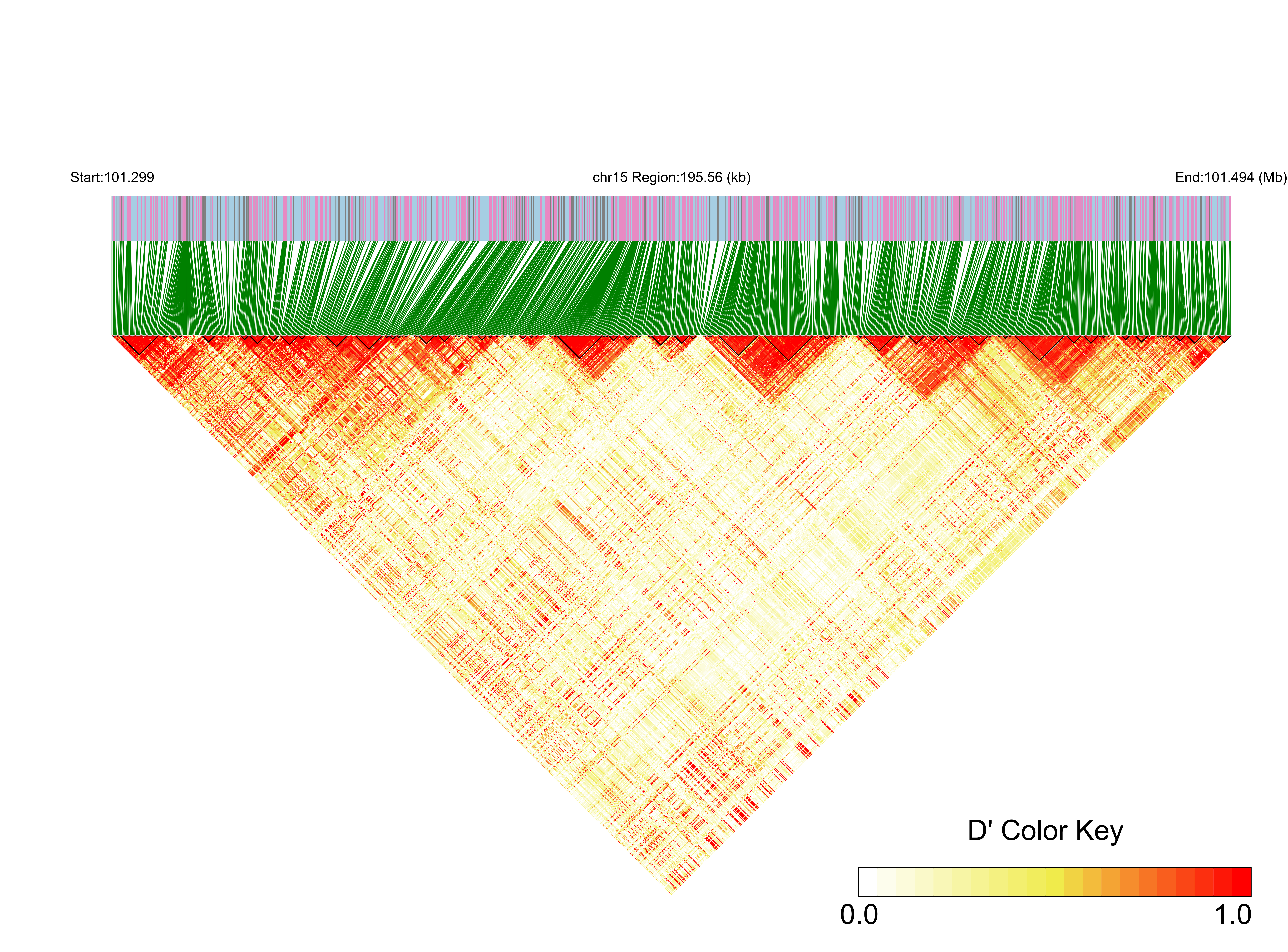 LD