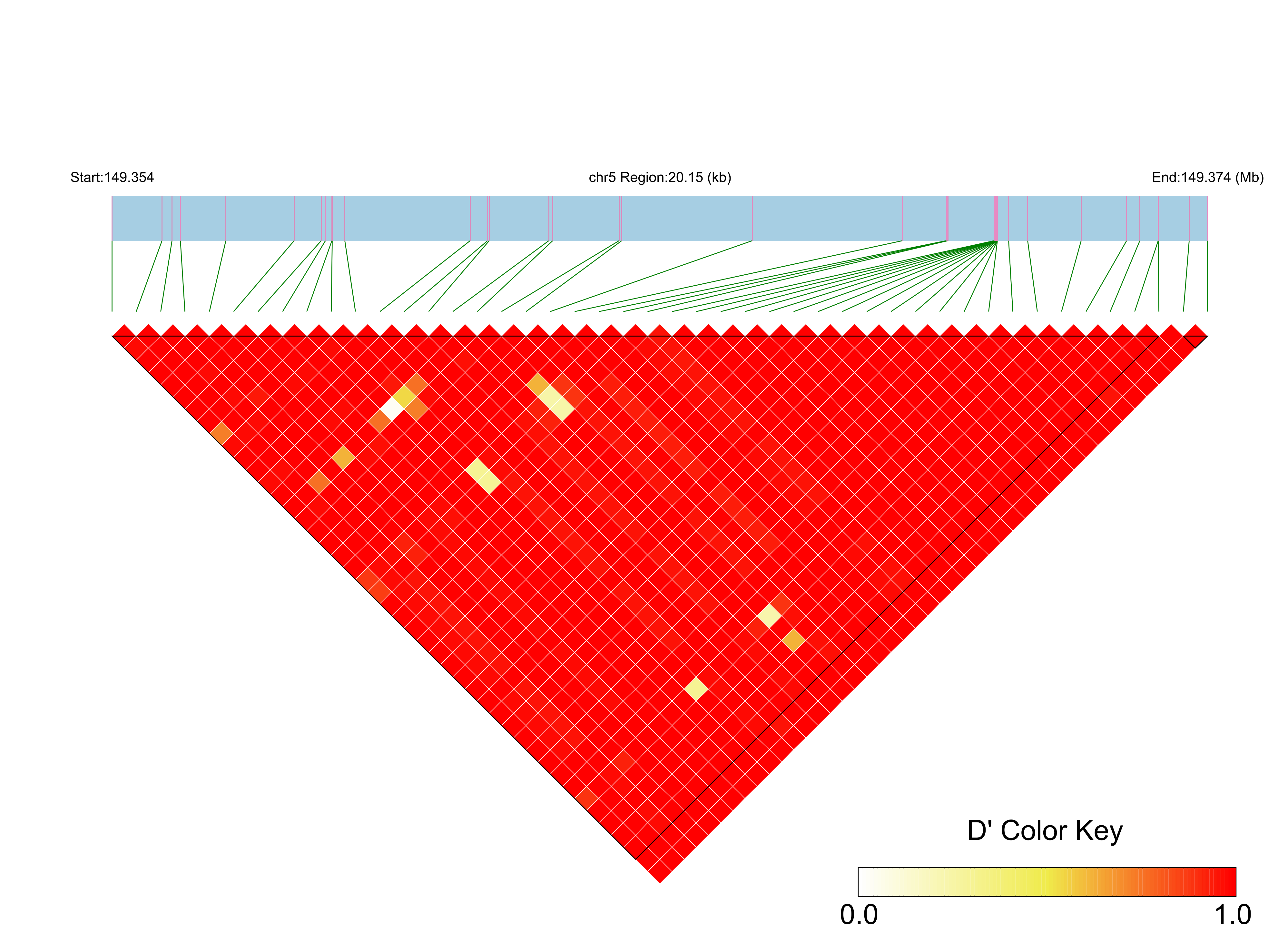 LD