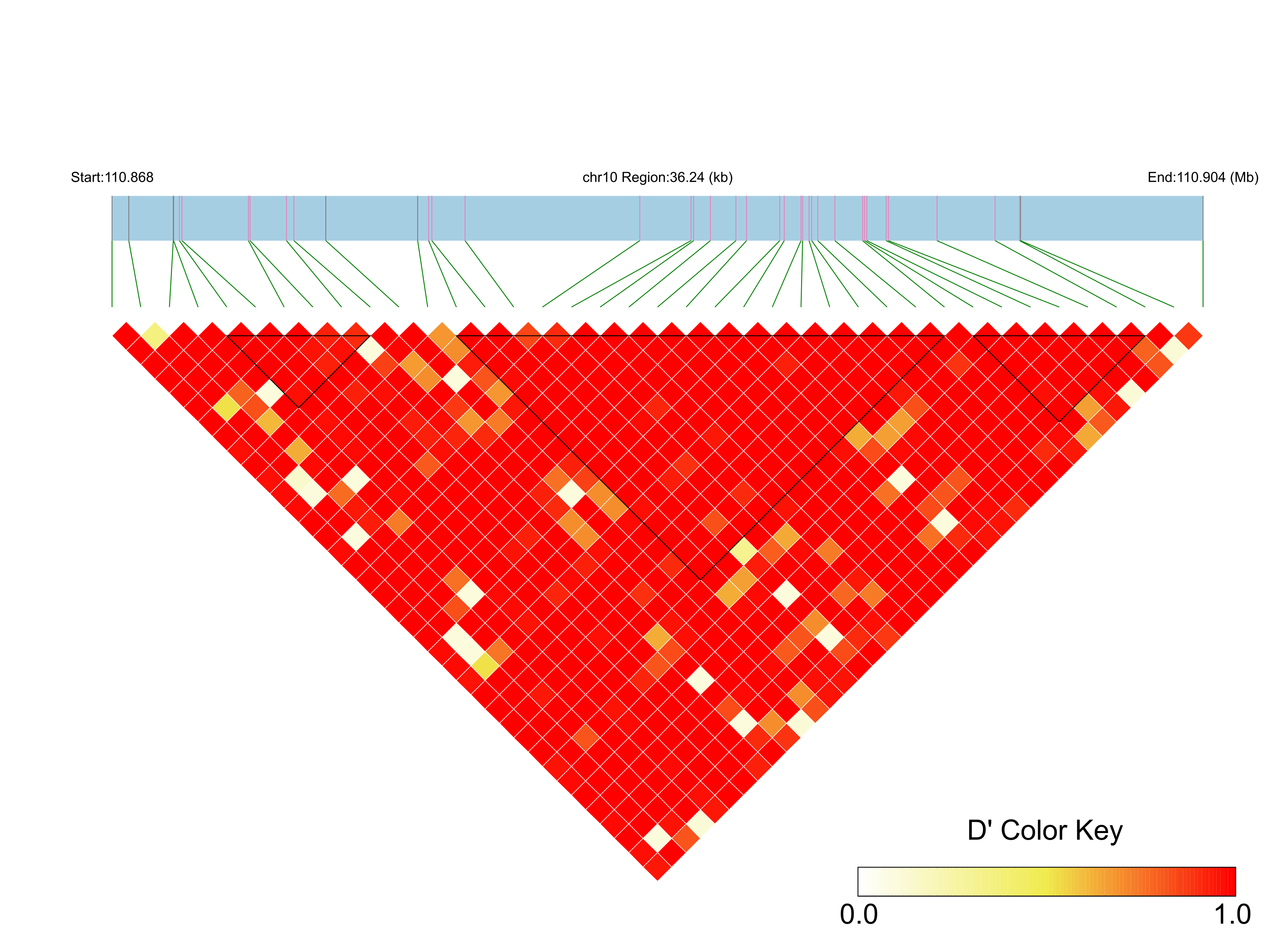 LD