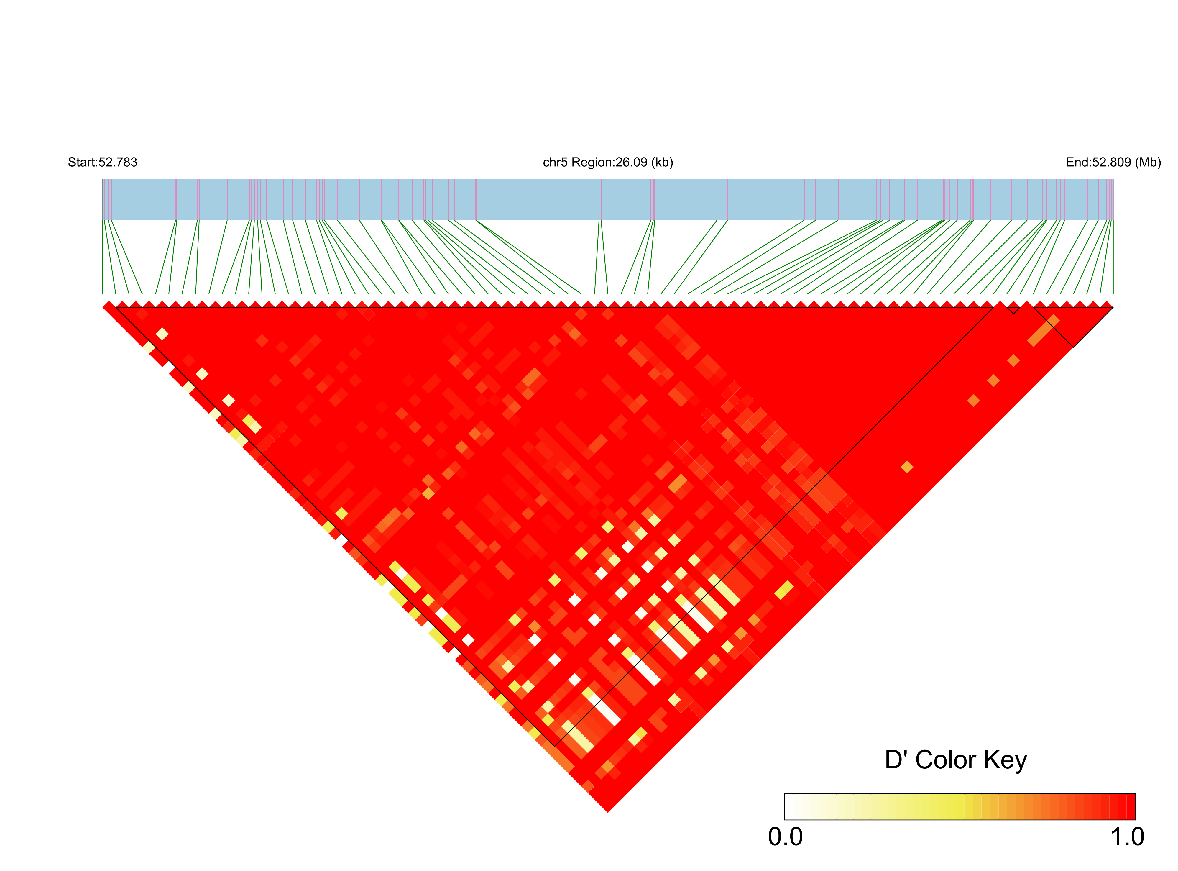 LD
