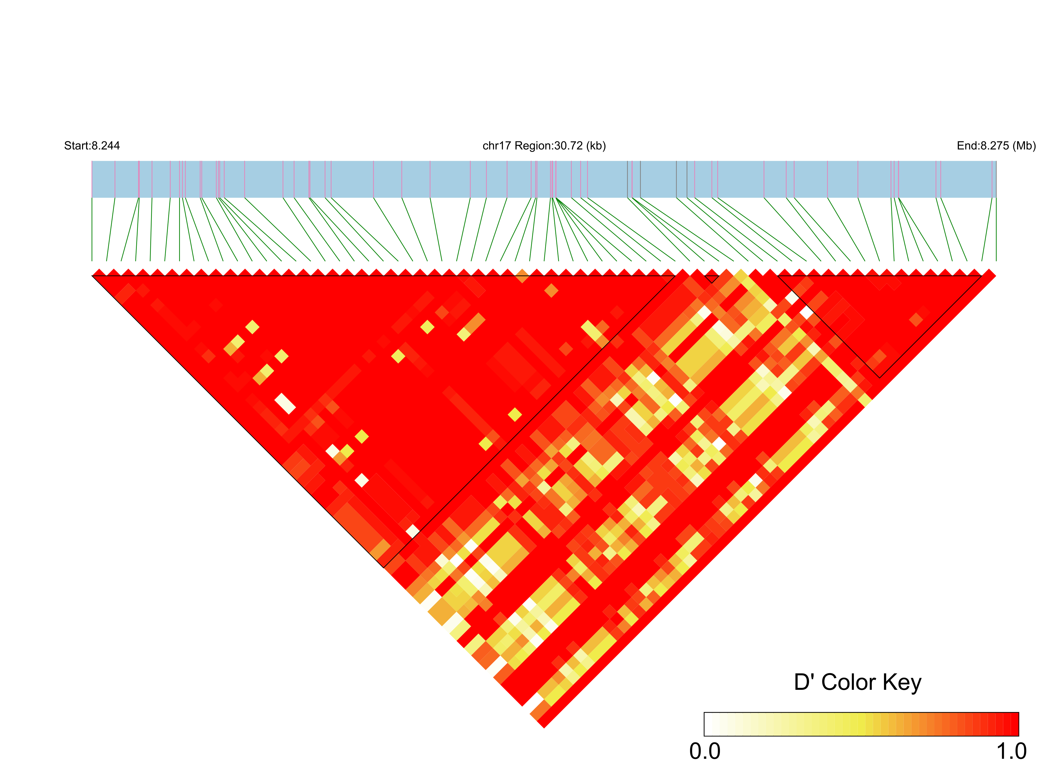 LD