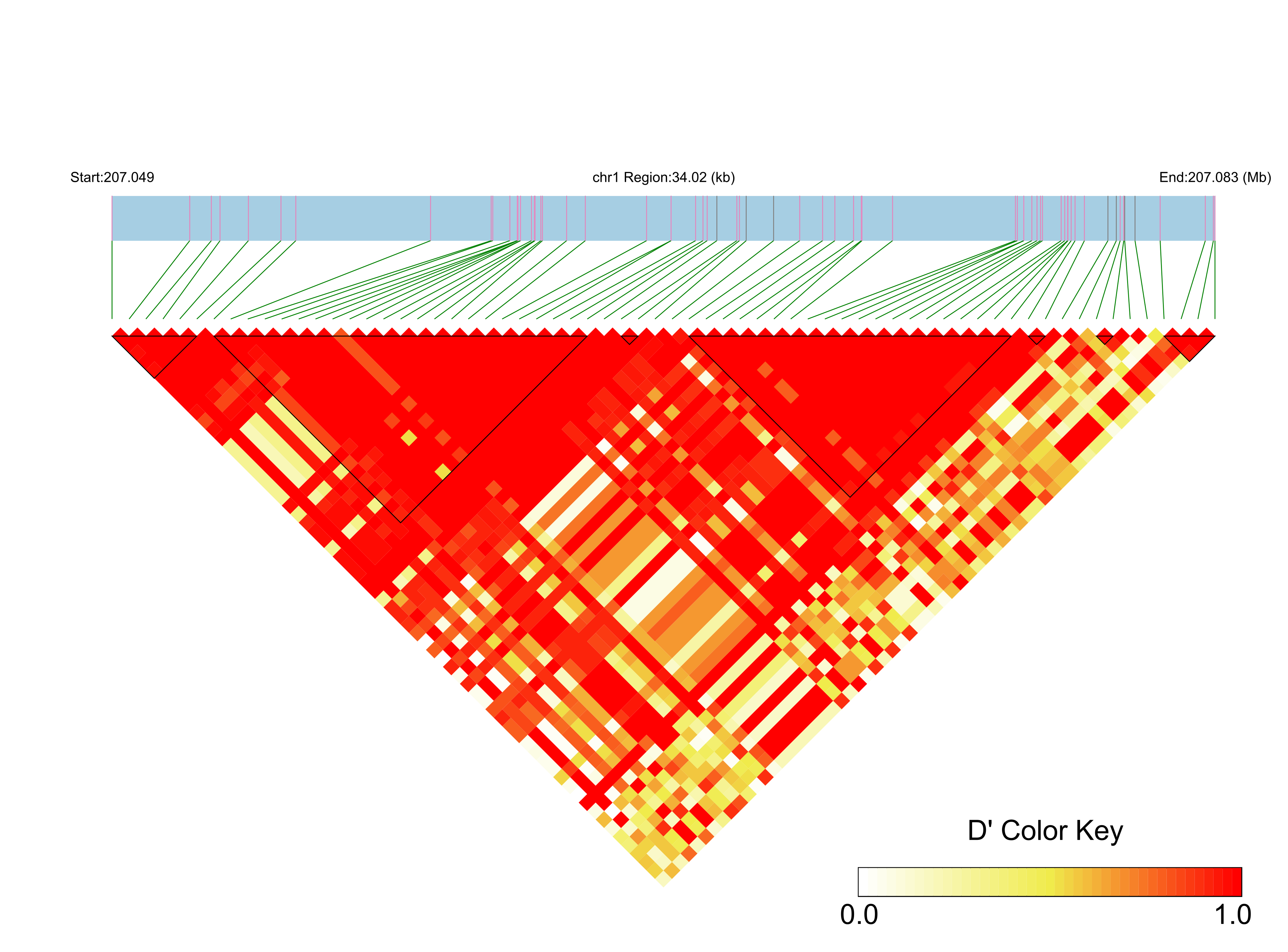 LD