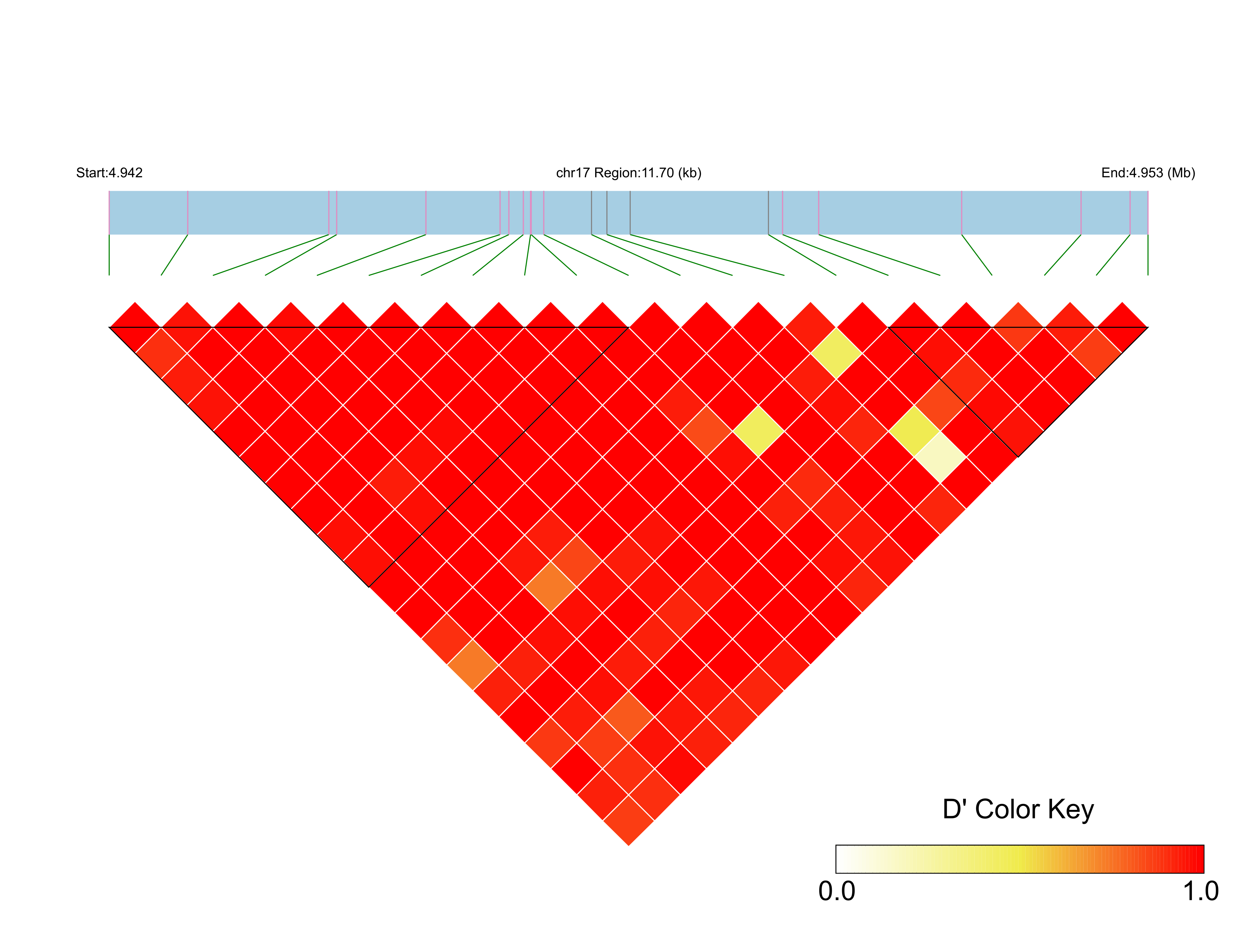 LD