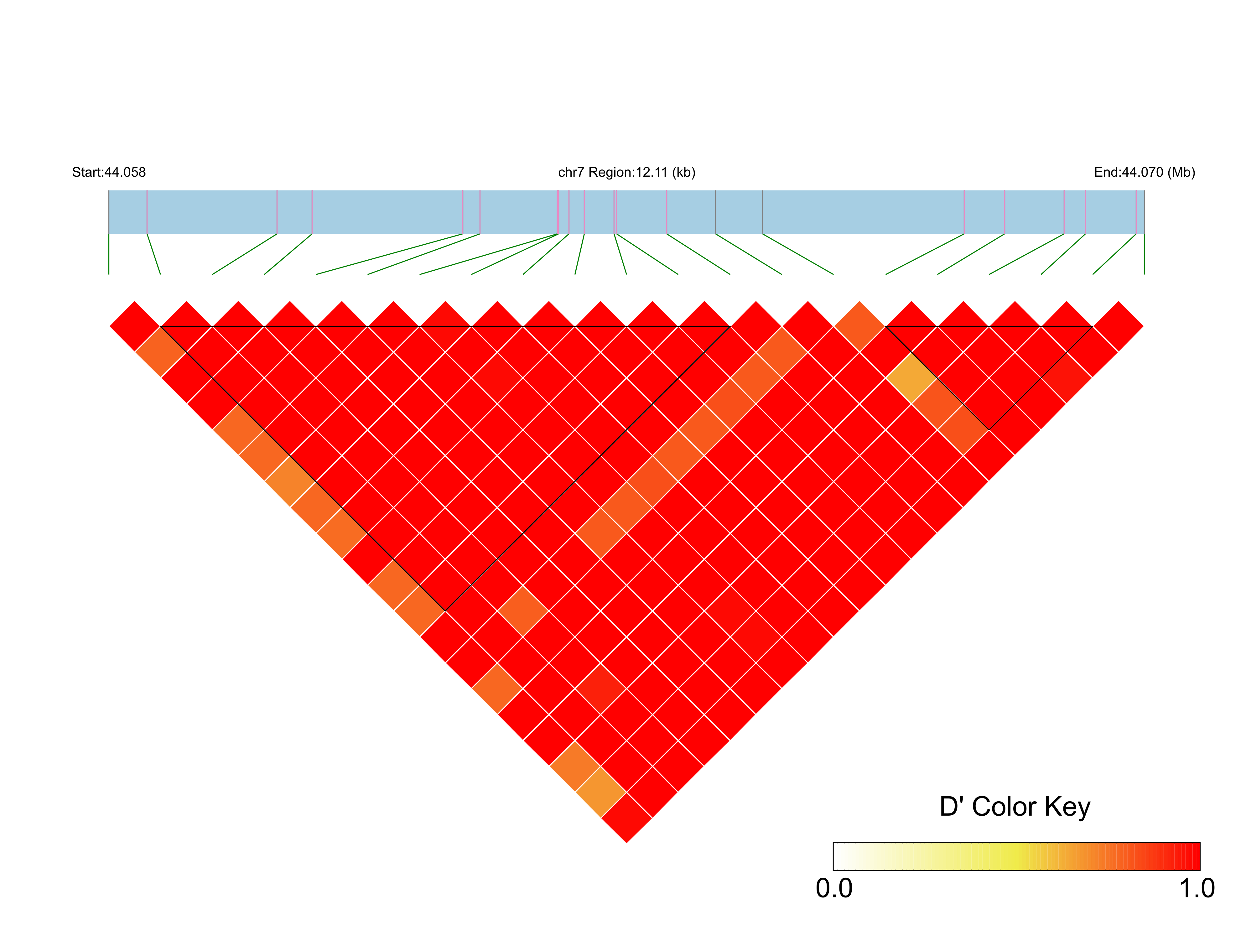 LD