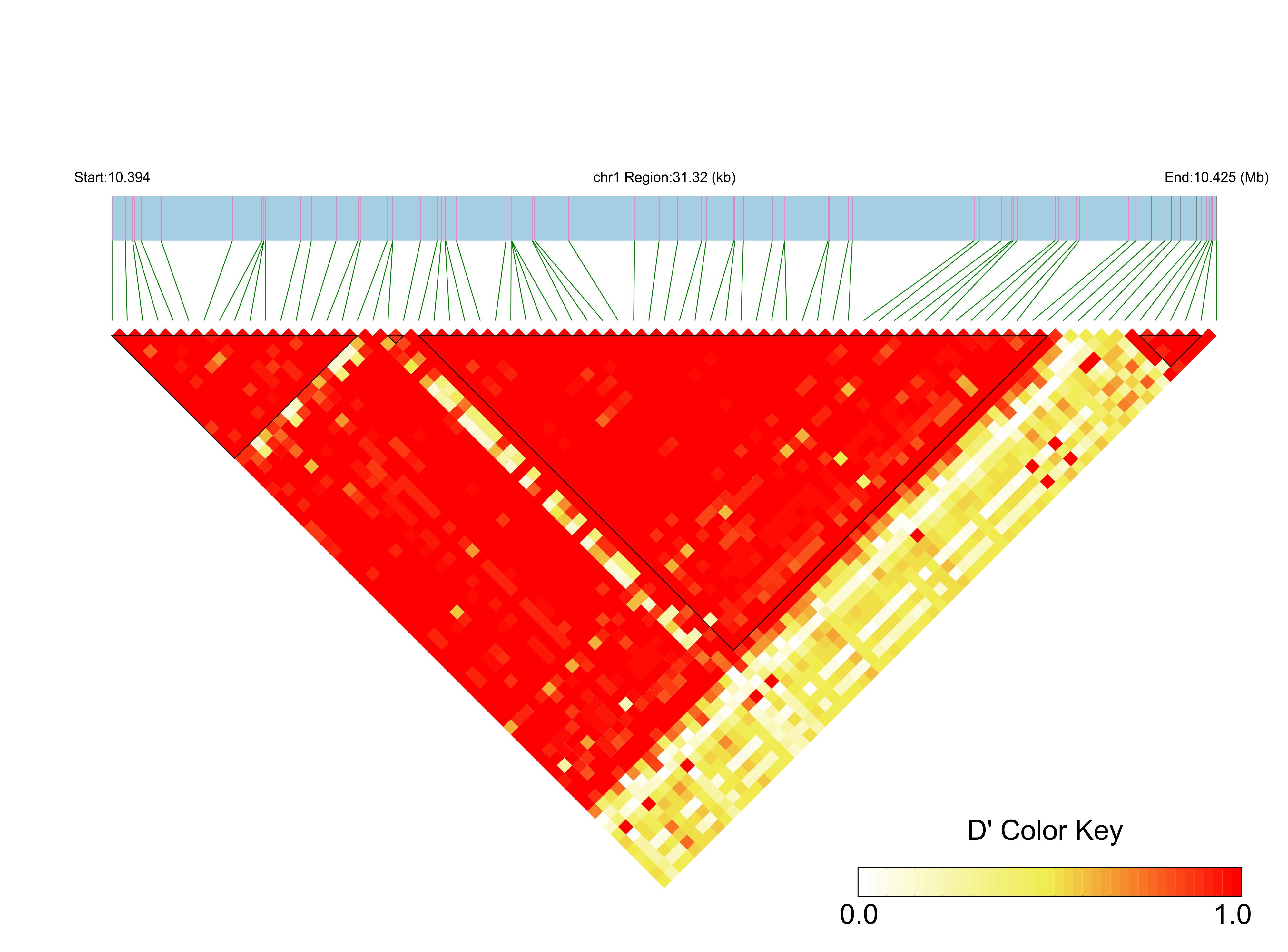 LD