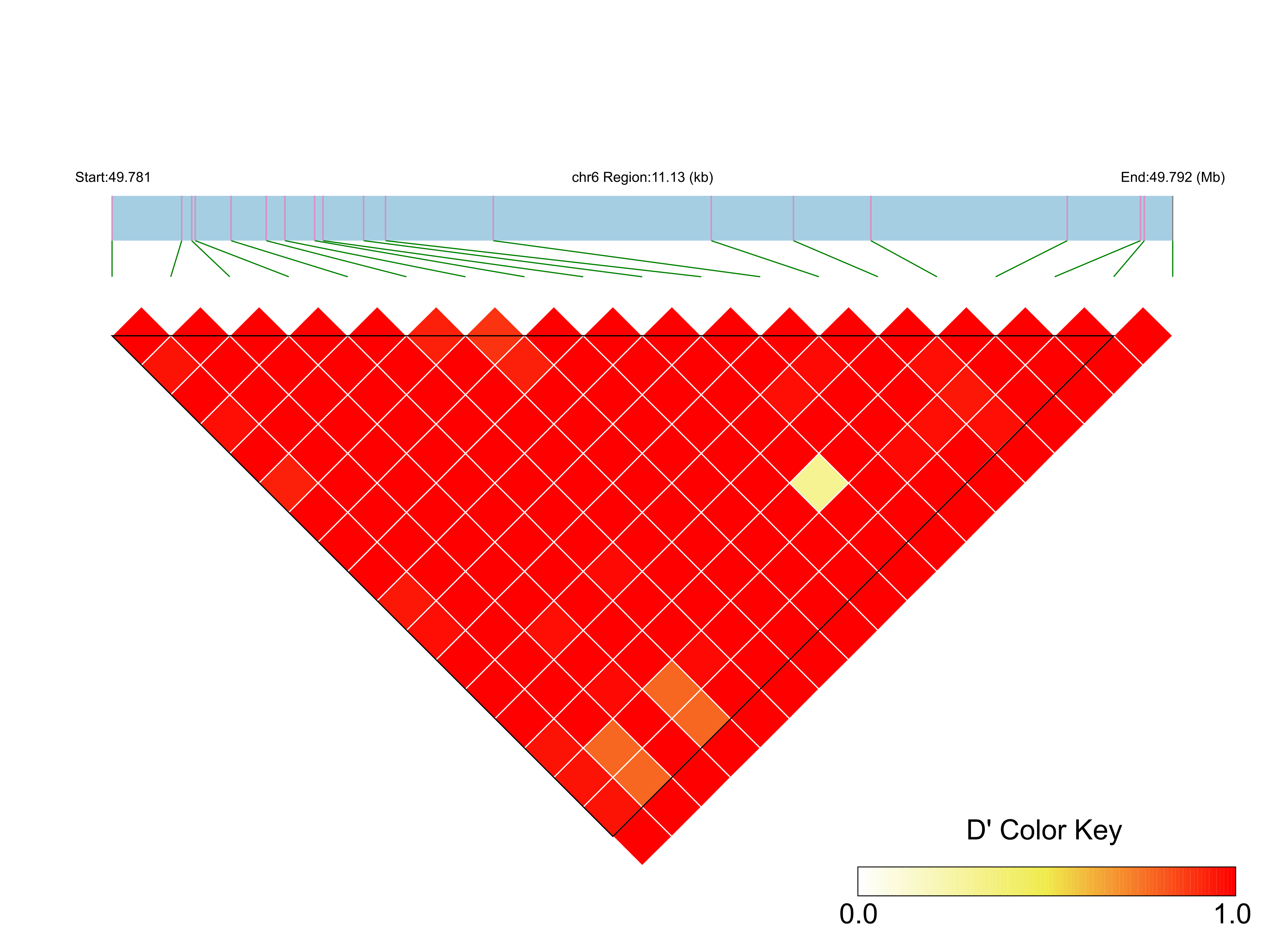LD