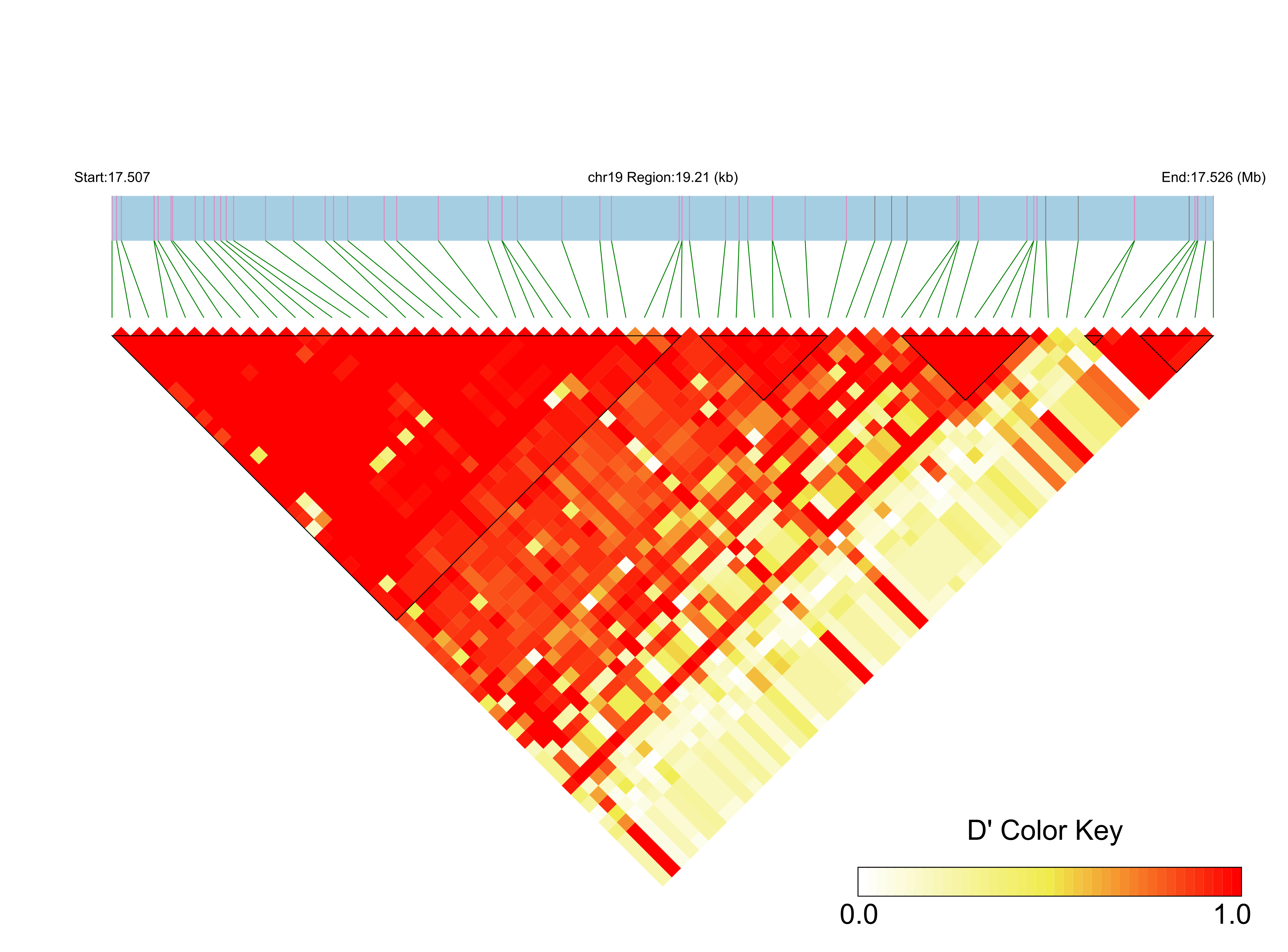 LD