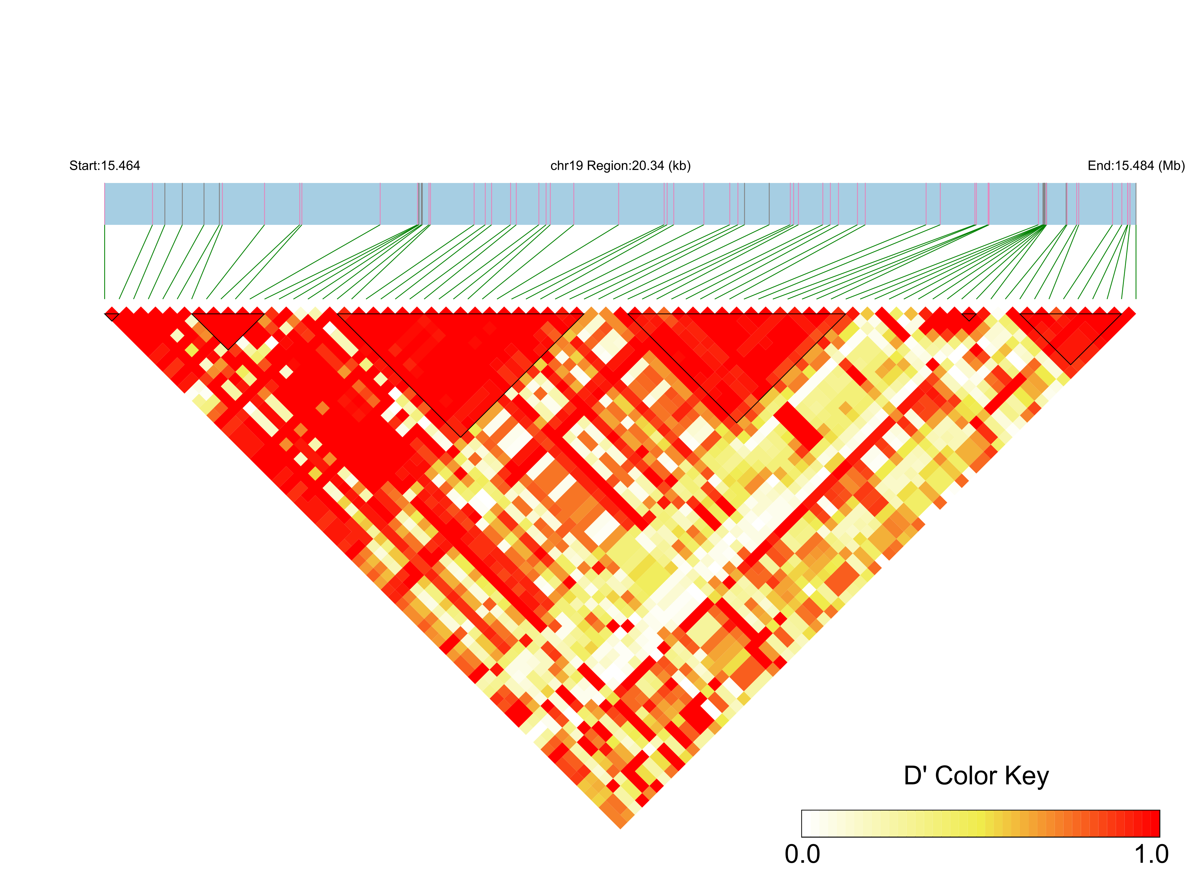 LD