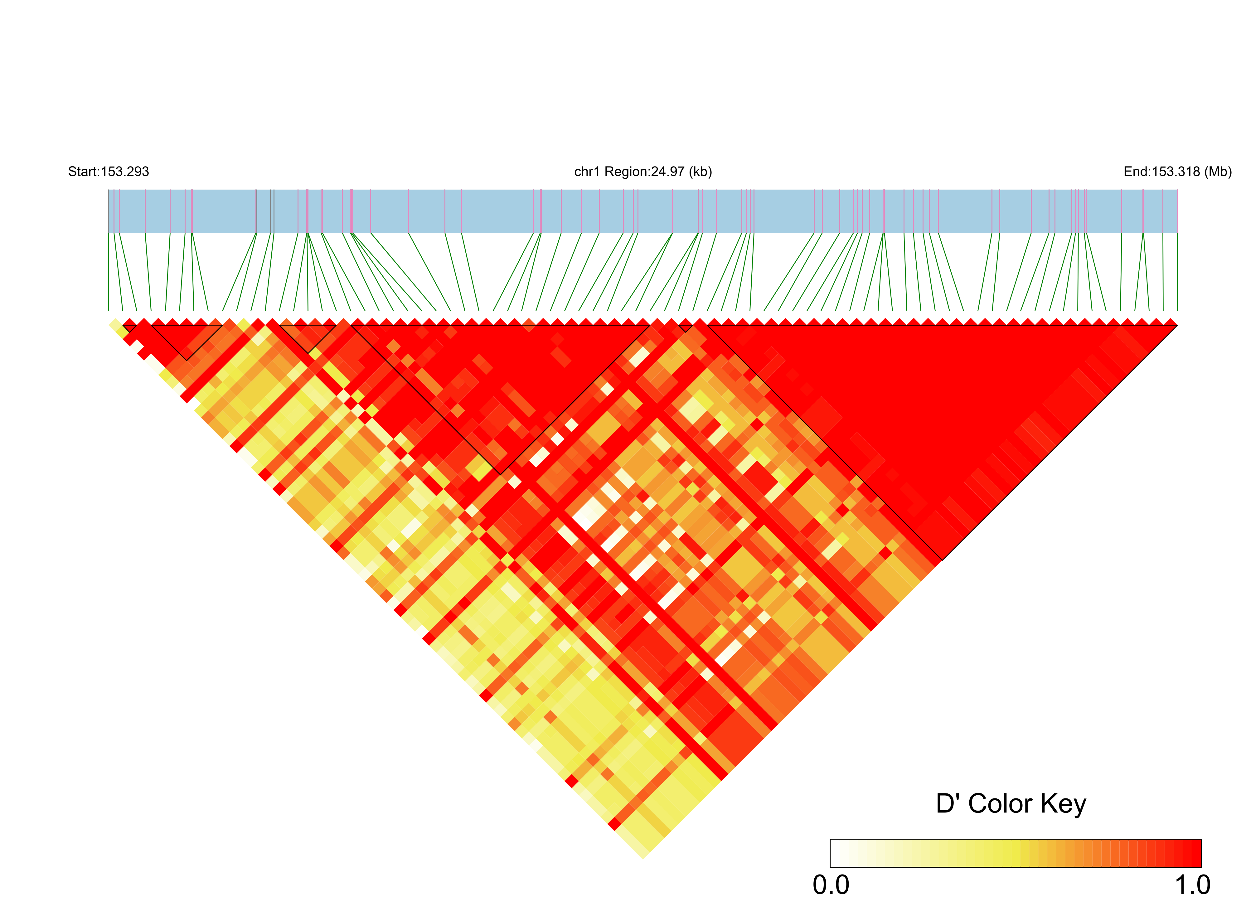 LD