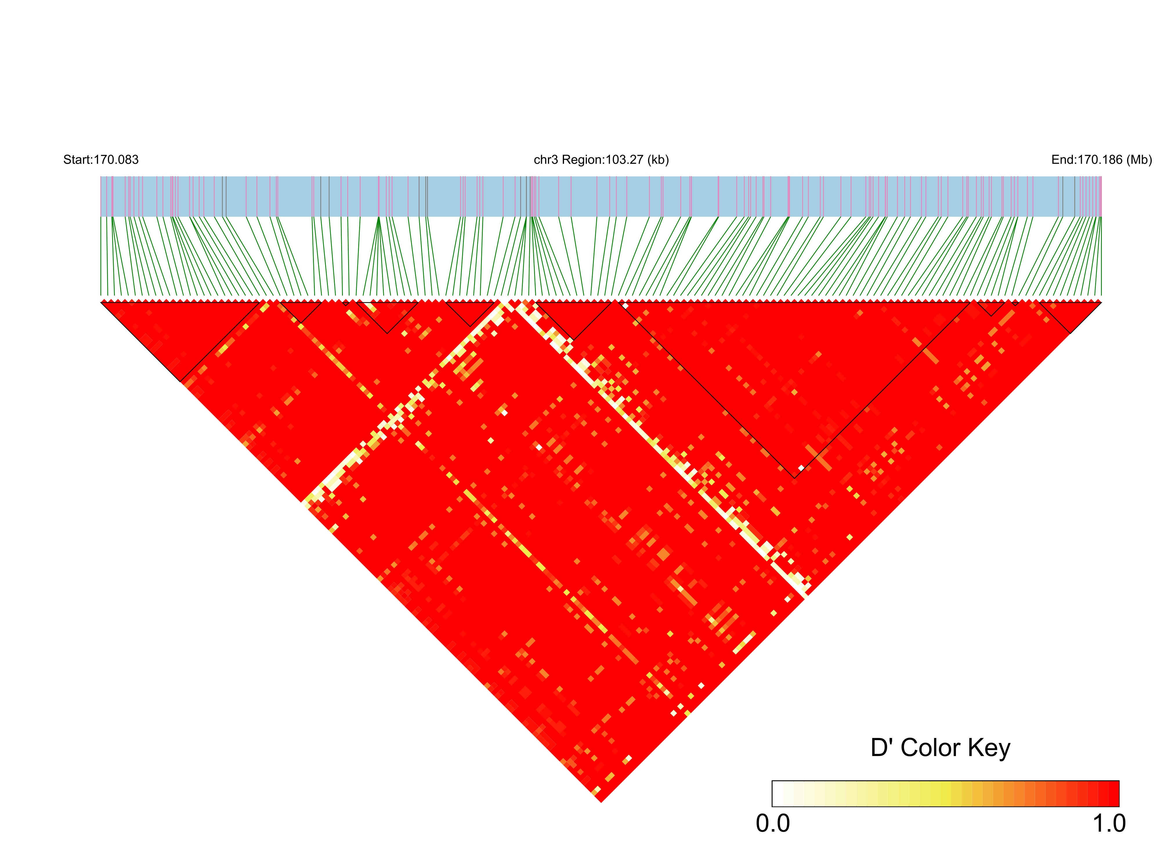 LD