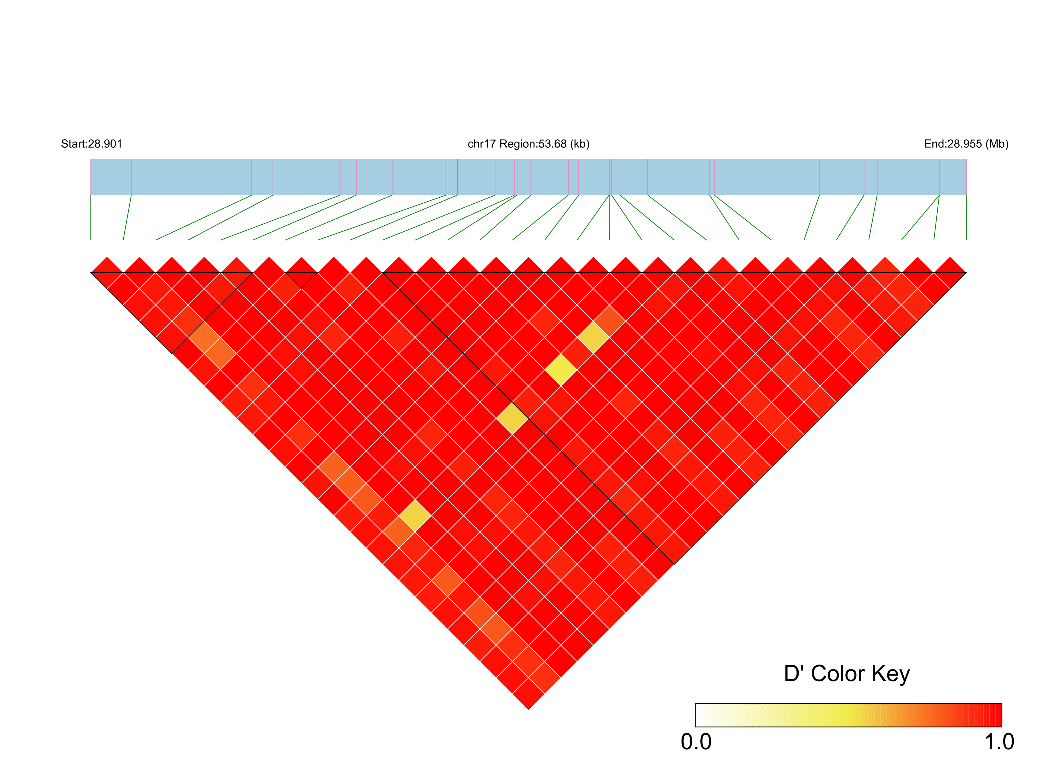 LD