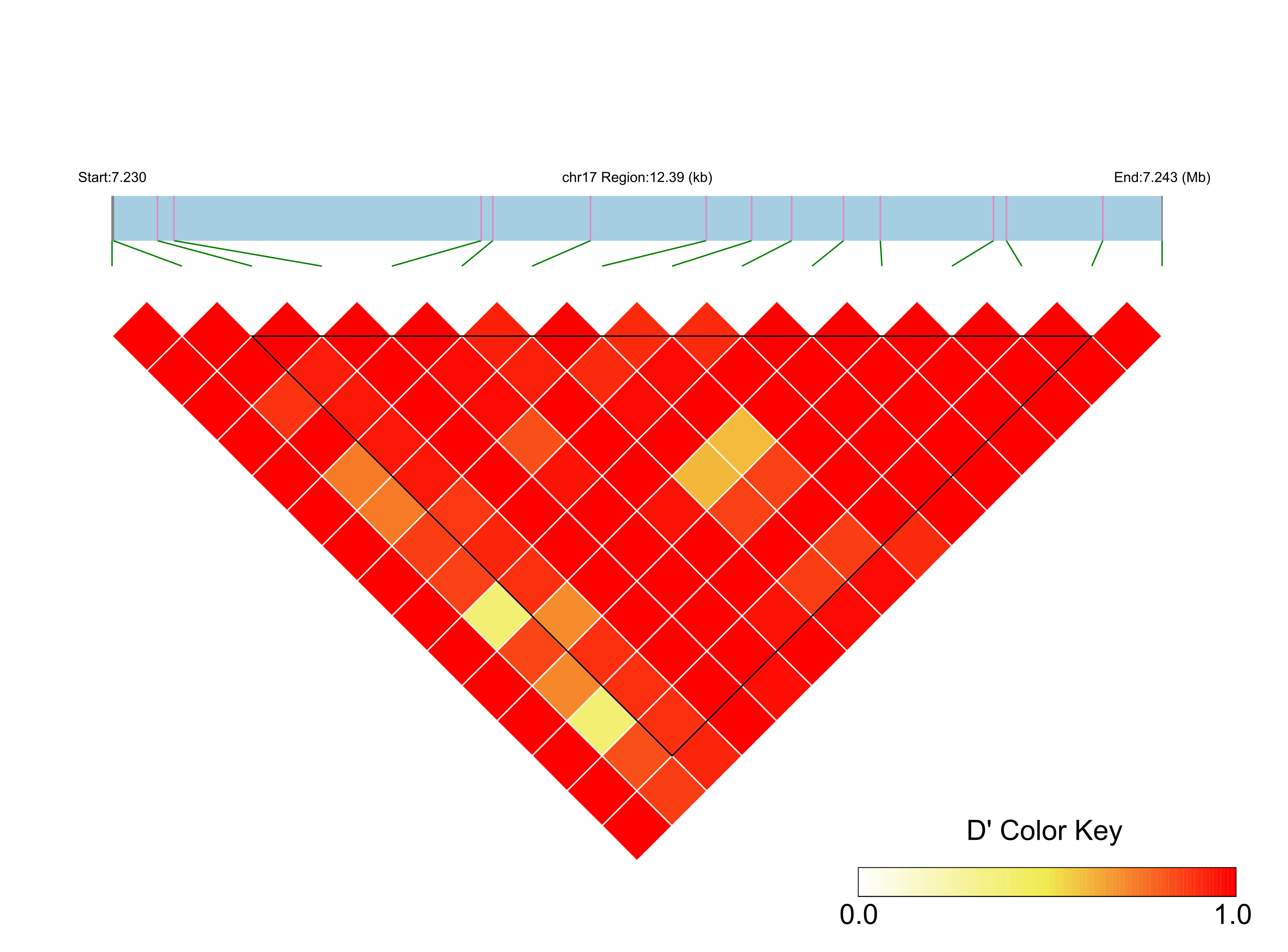 LD