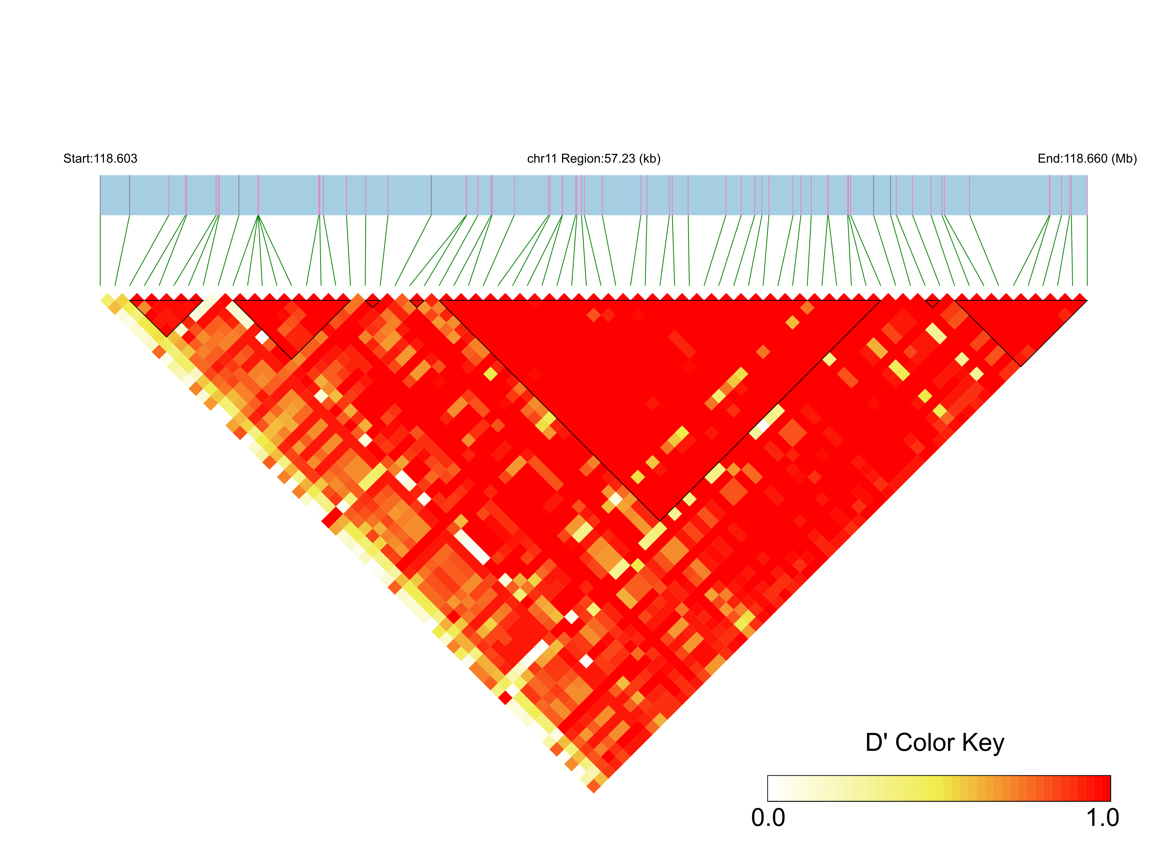 LD