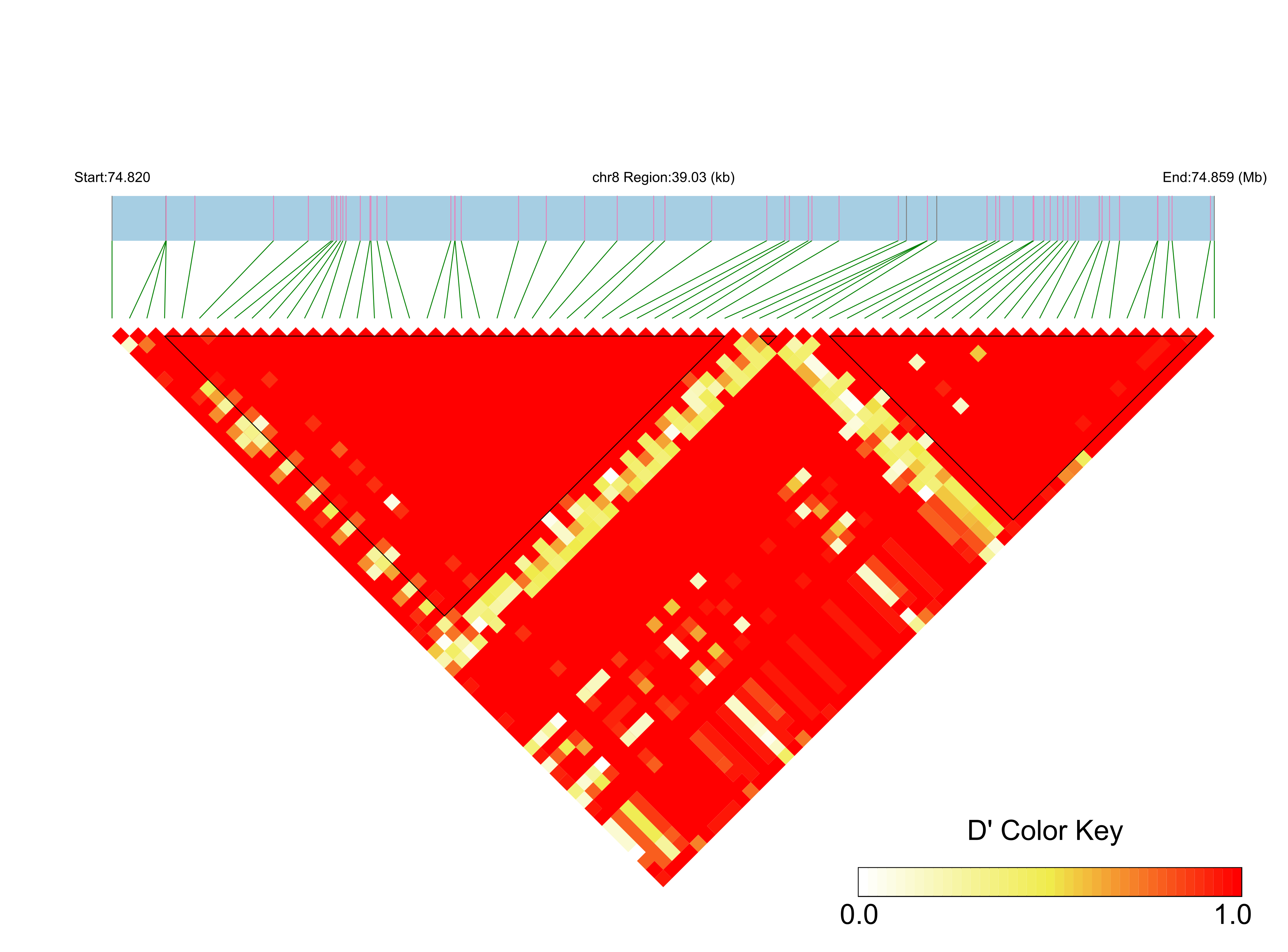 LD