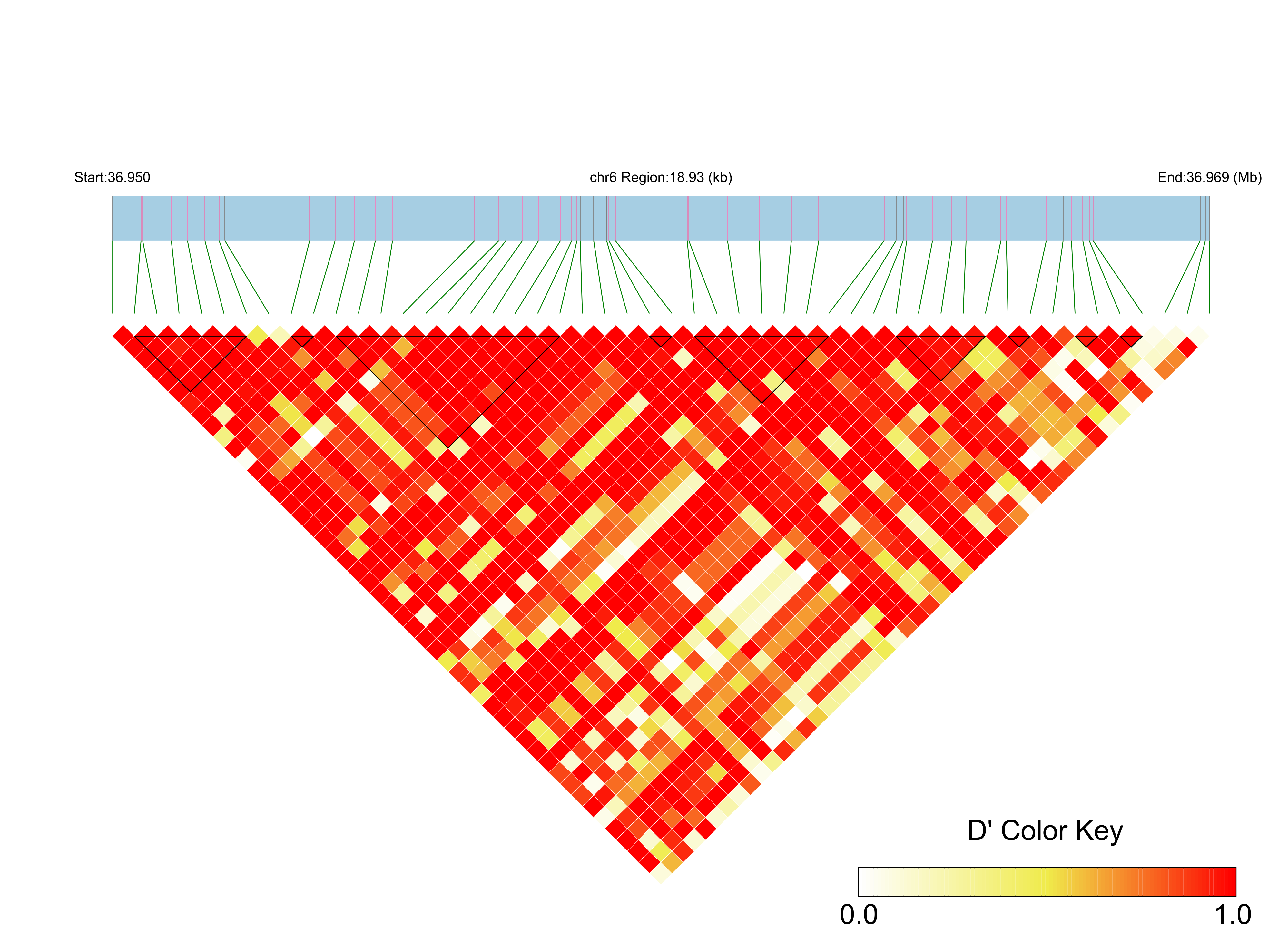 LD