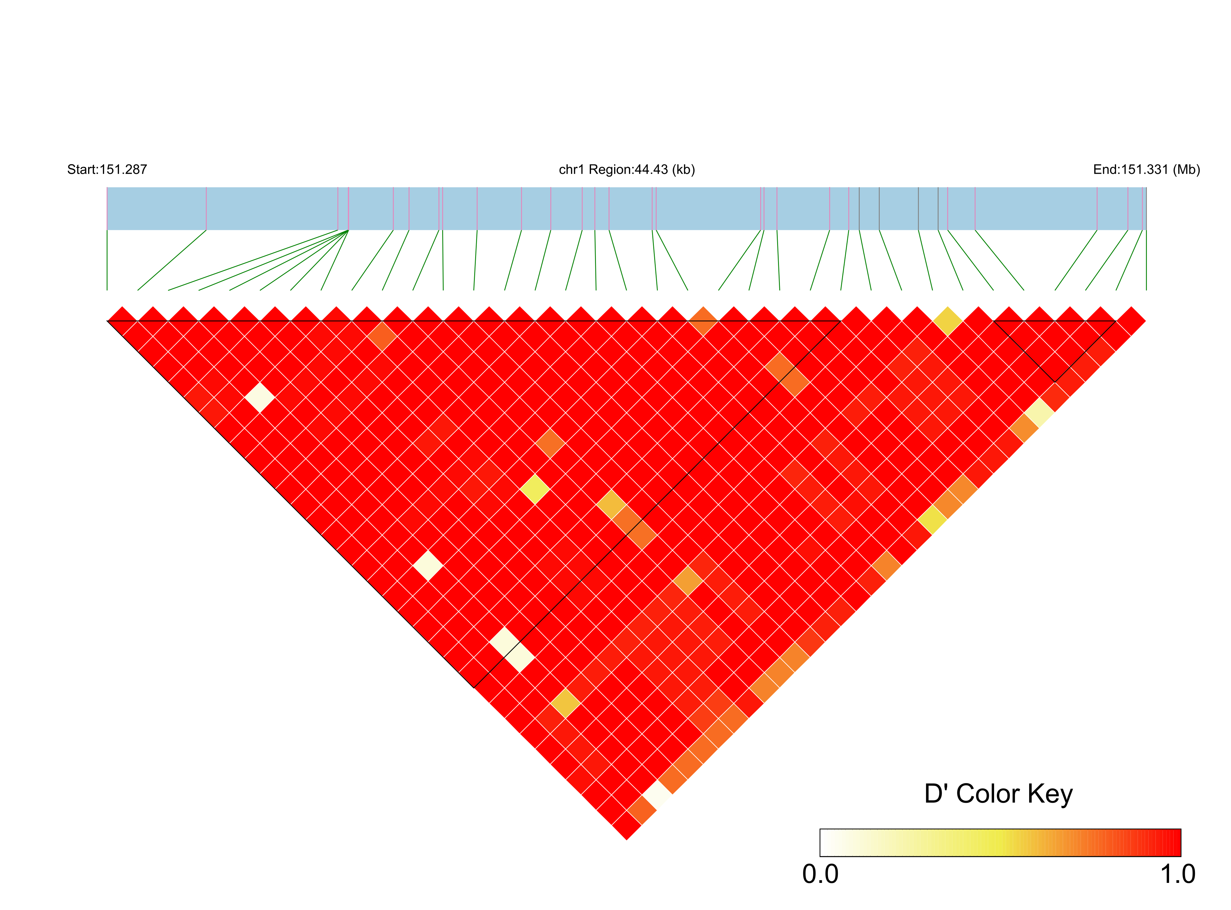 LD